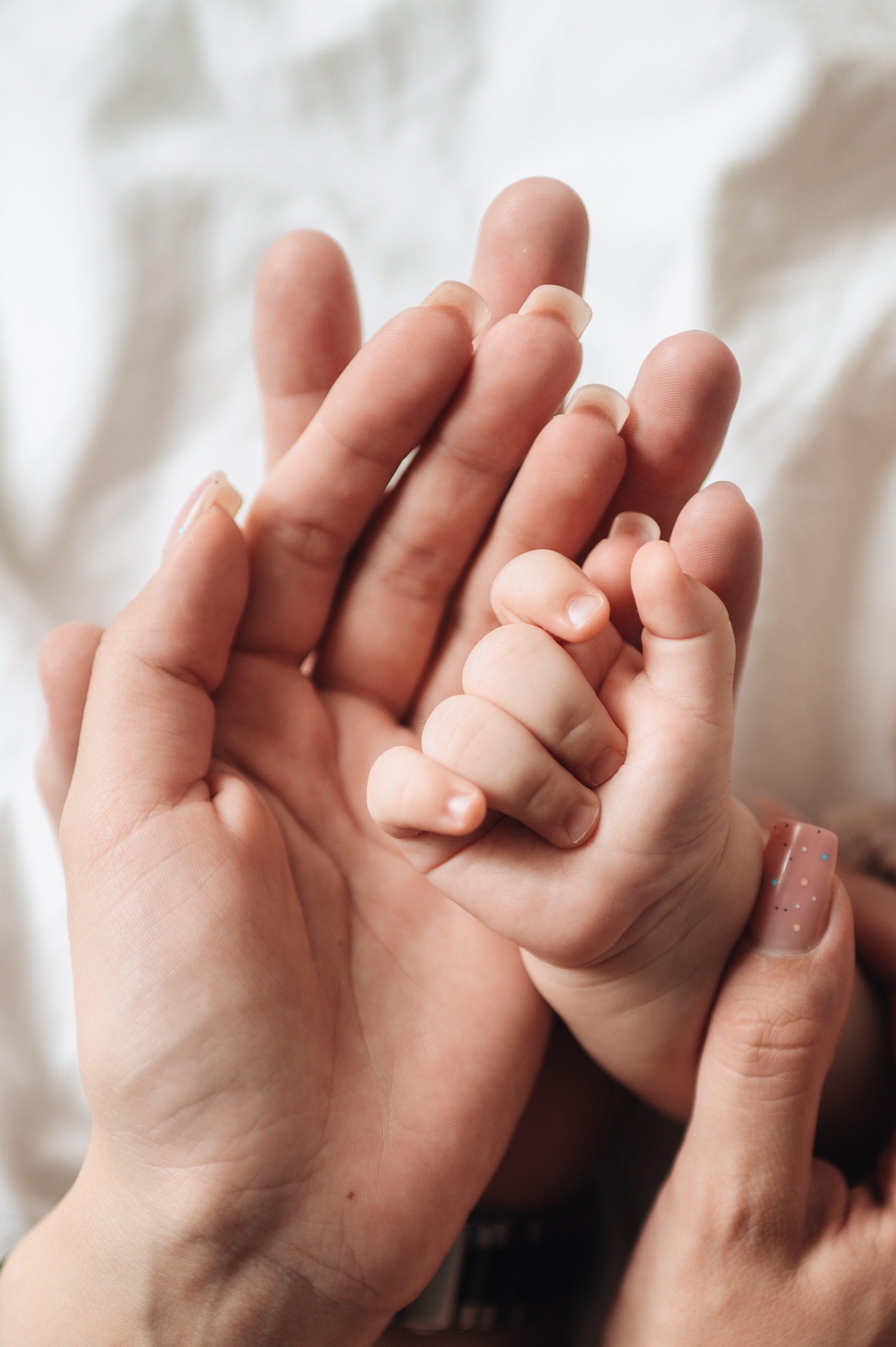 Семейная фотосессия на полгода Тимура. Фотограф в Москве и Московской области Таня Яблочкина