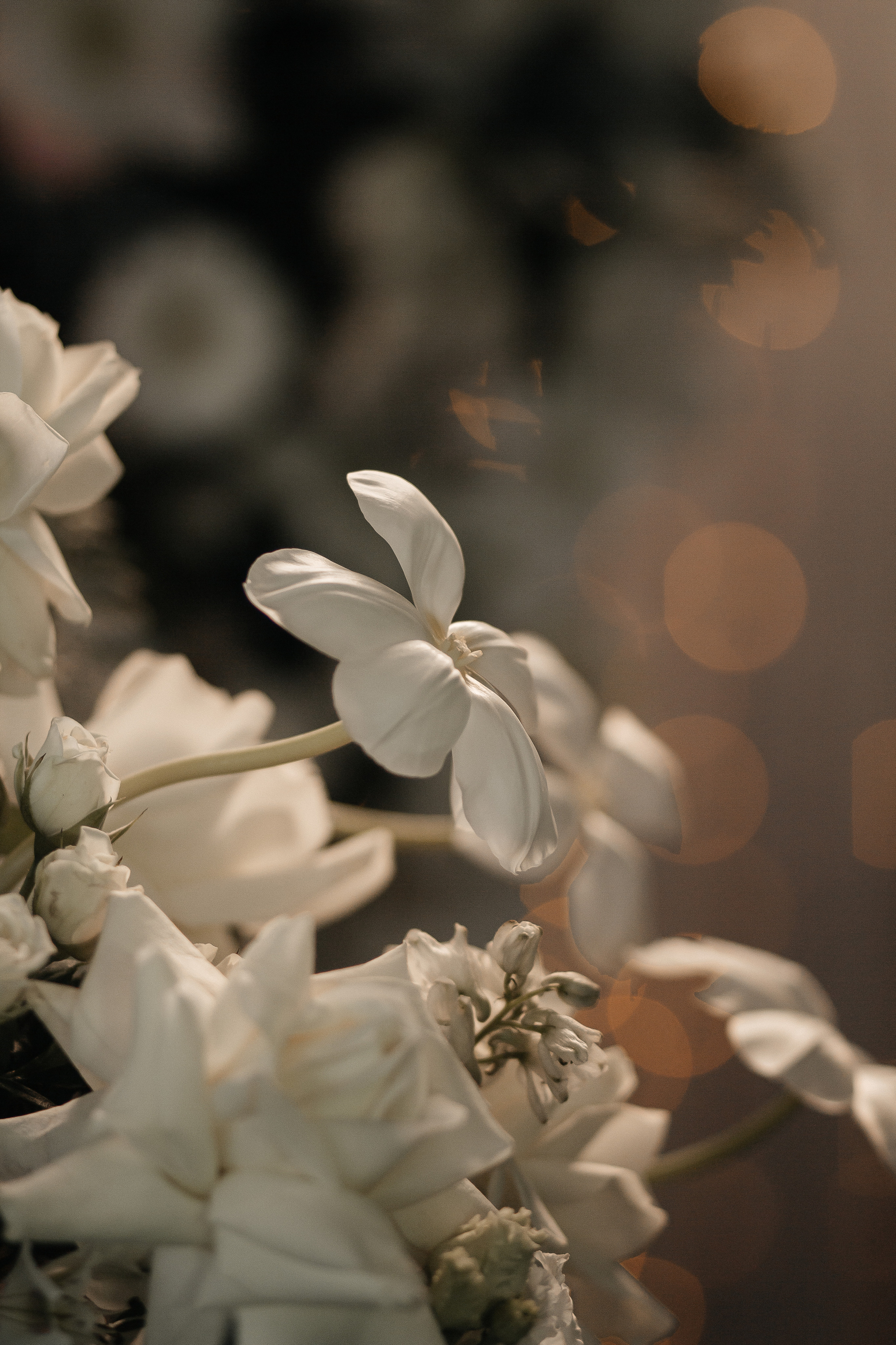 Алина и Сергей. Фотограф Дубровская Виктория