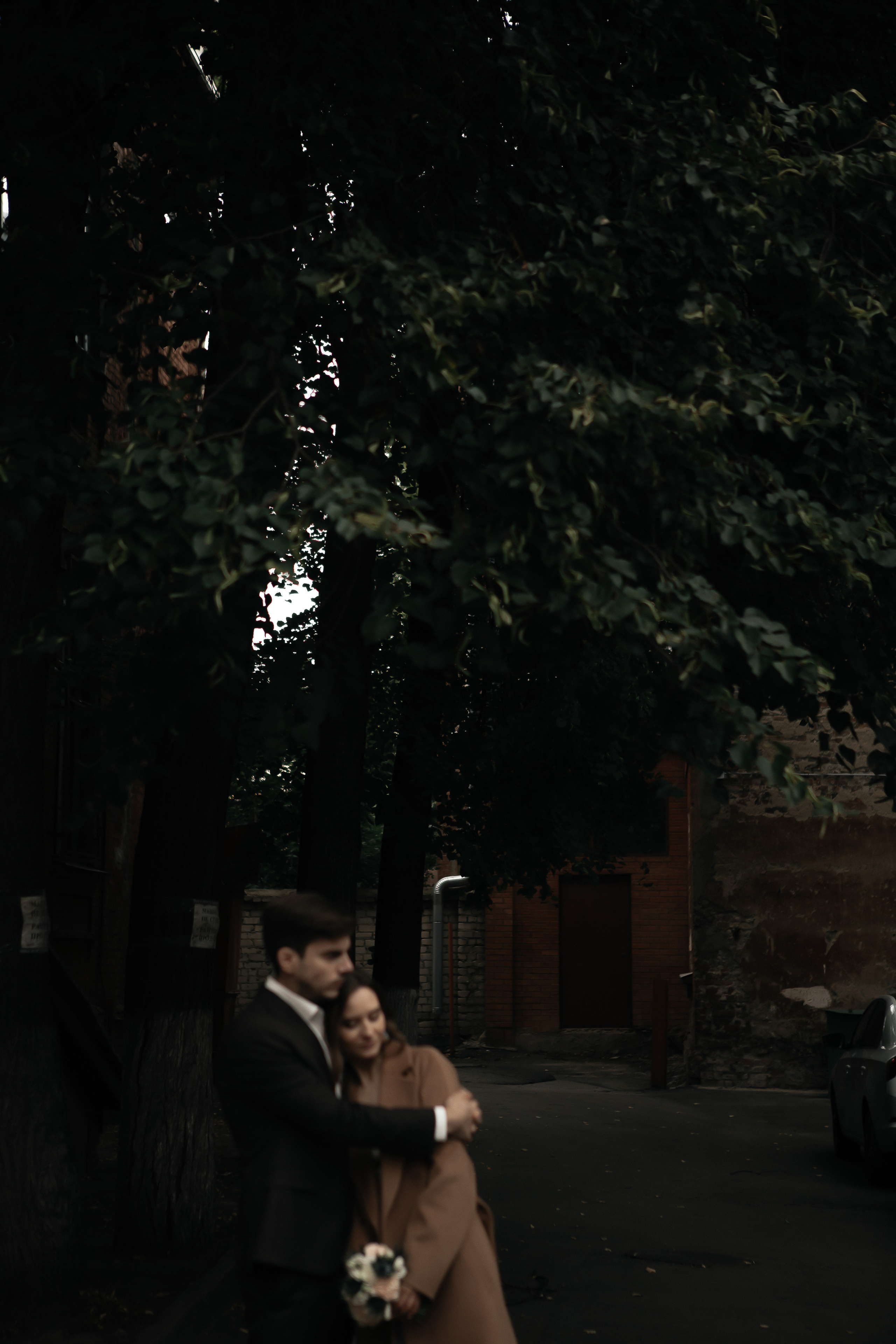 Виктория и Дмитрий. Фотограф Дубровская Виктория