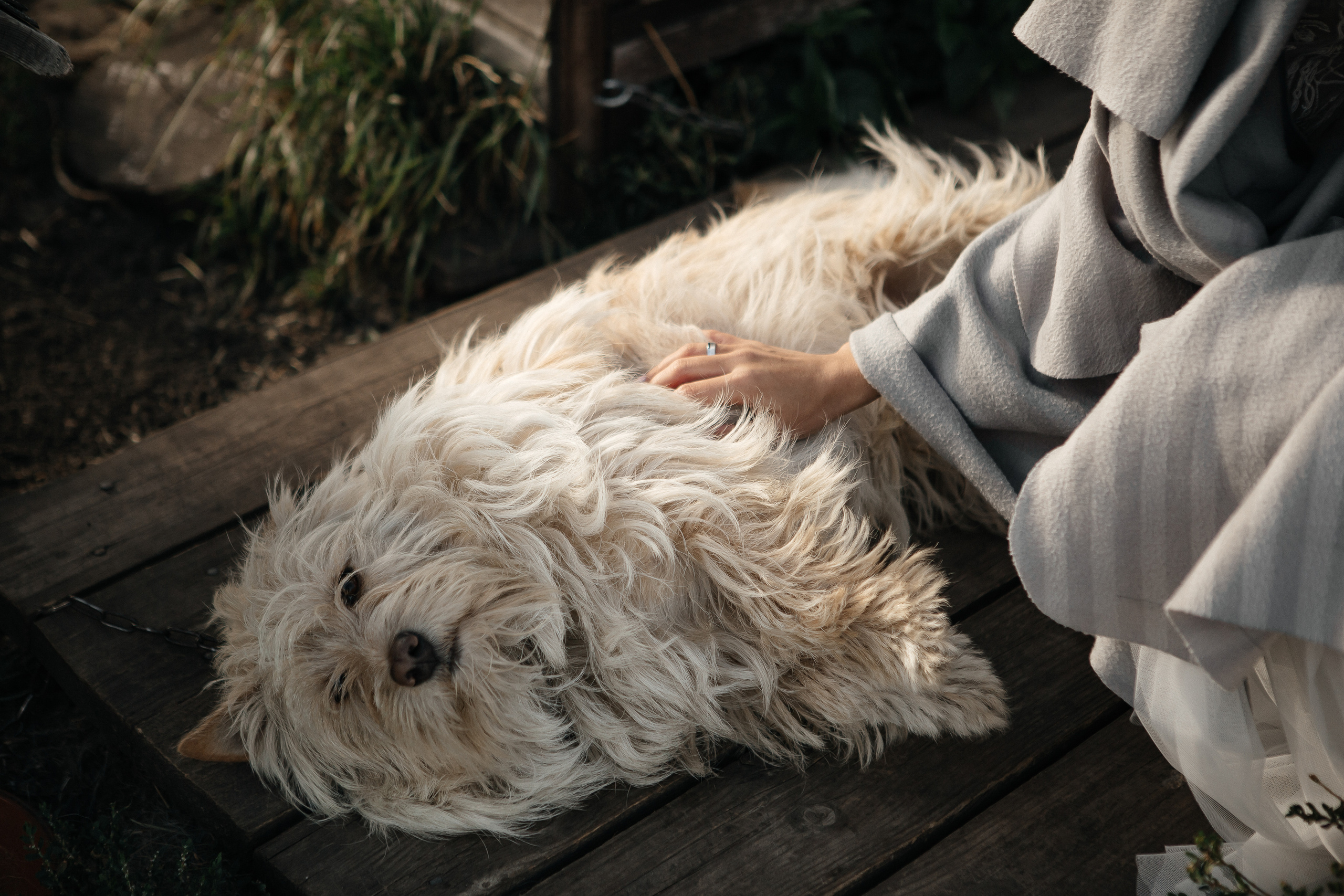 Виктория и Дмитрий. Фотограф Дубровская Виктория