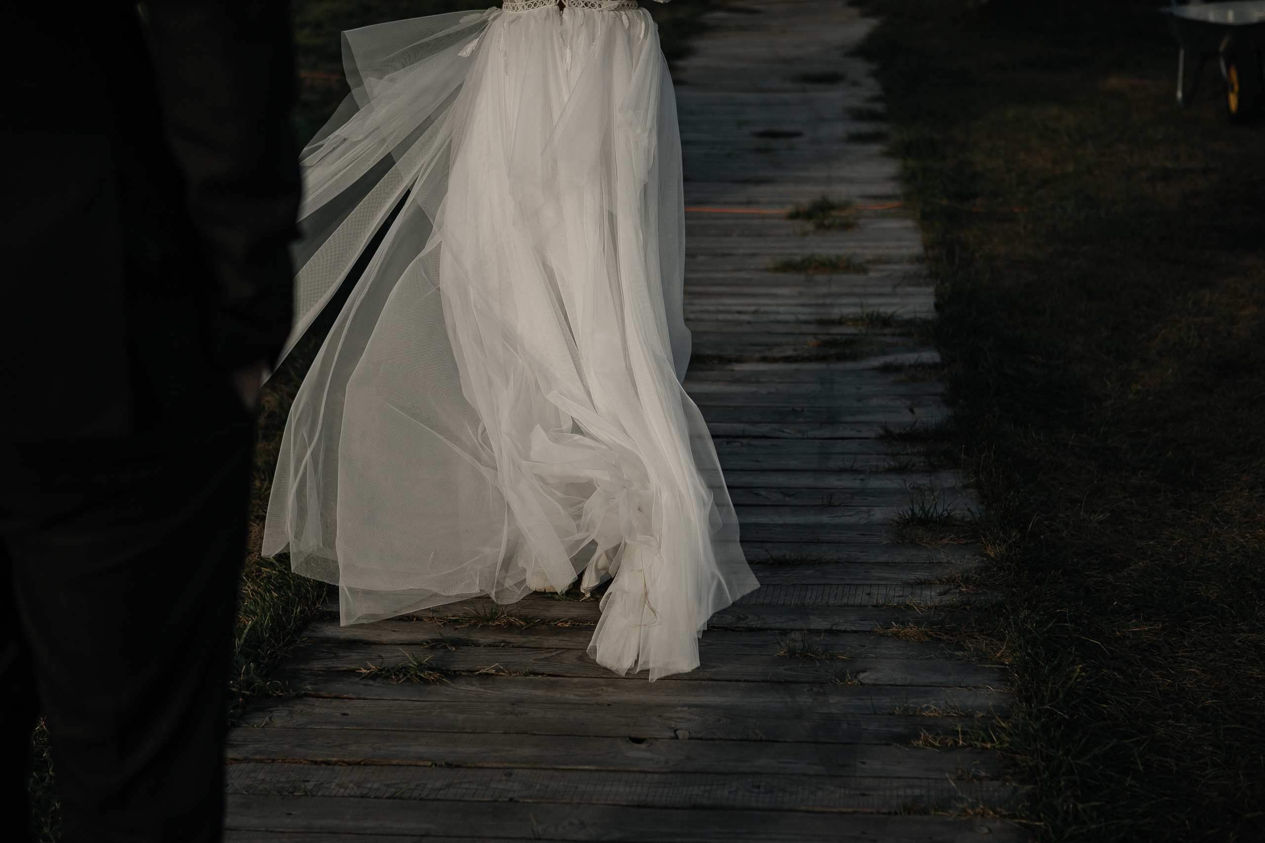 Виктория и Дмитрий. Фотограф Дубровская Виктория