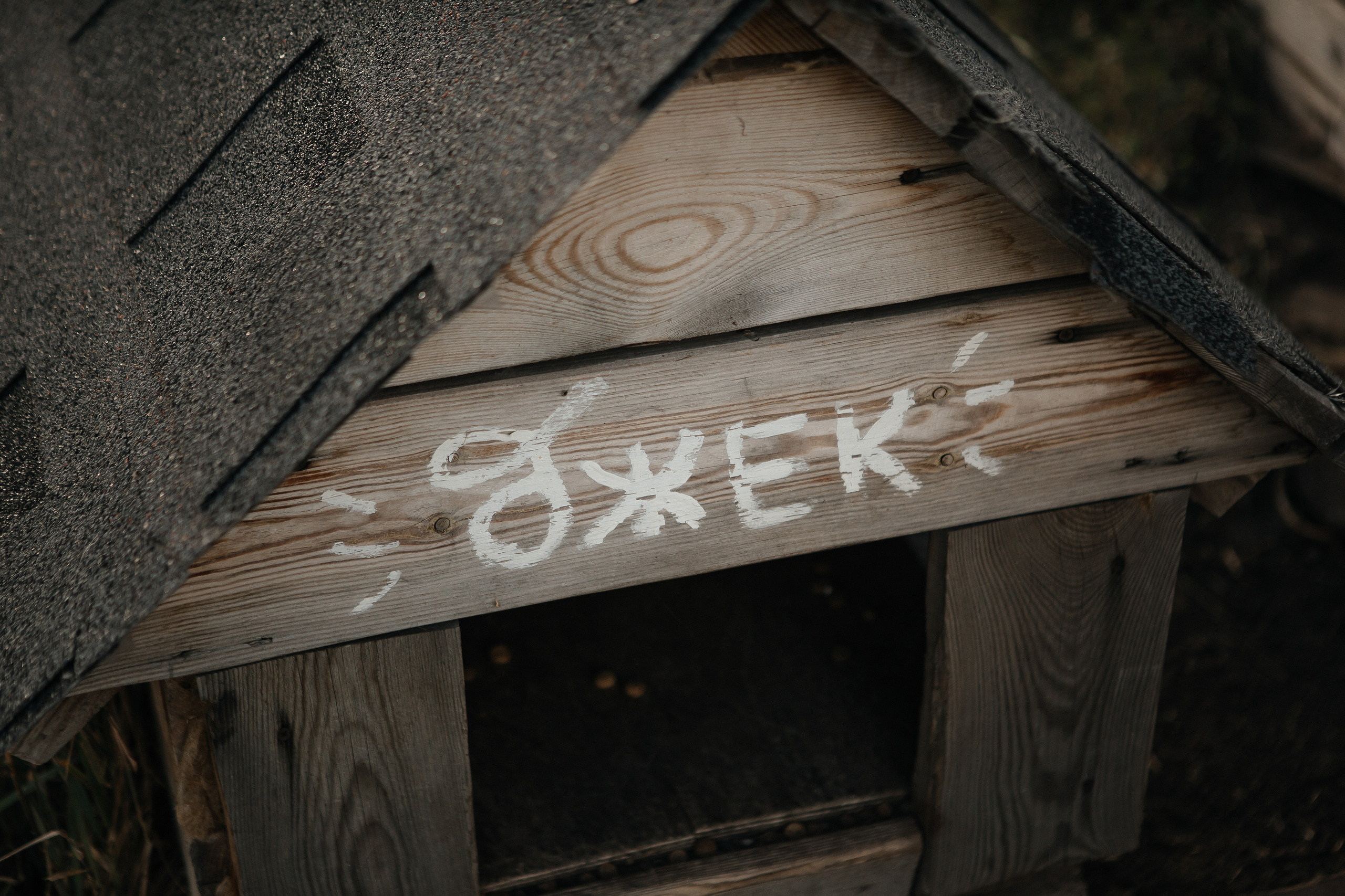 Виктория и Дмитрий. Фотограф Дубровская Виктория