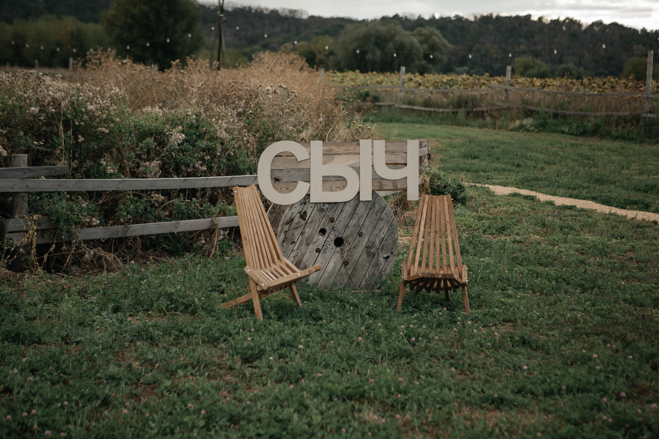 Виктория и Дмитрий. Фотограф Дубровская Виктория