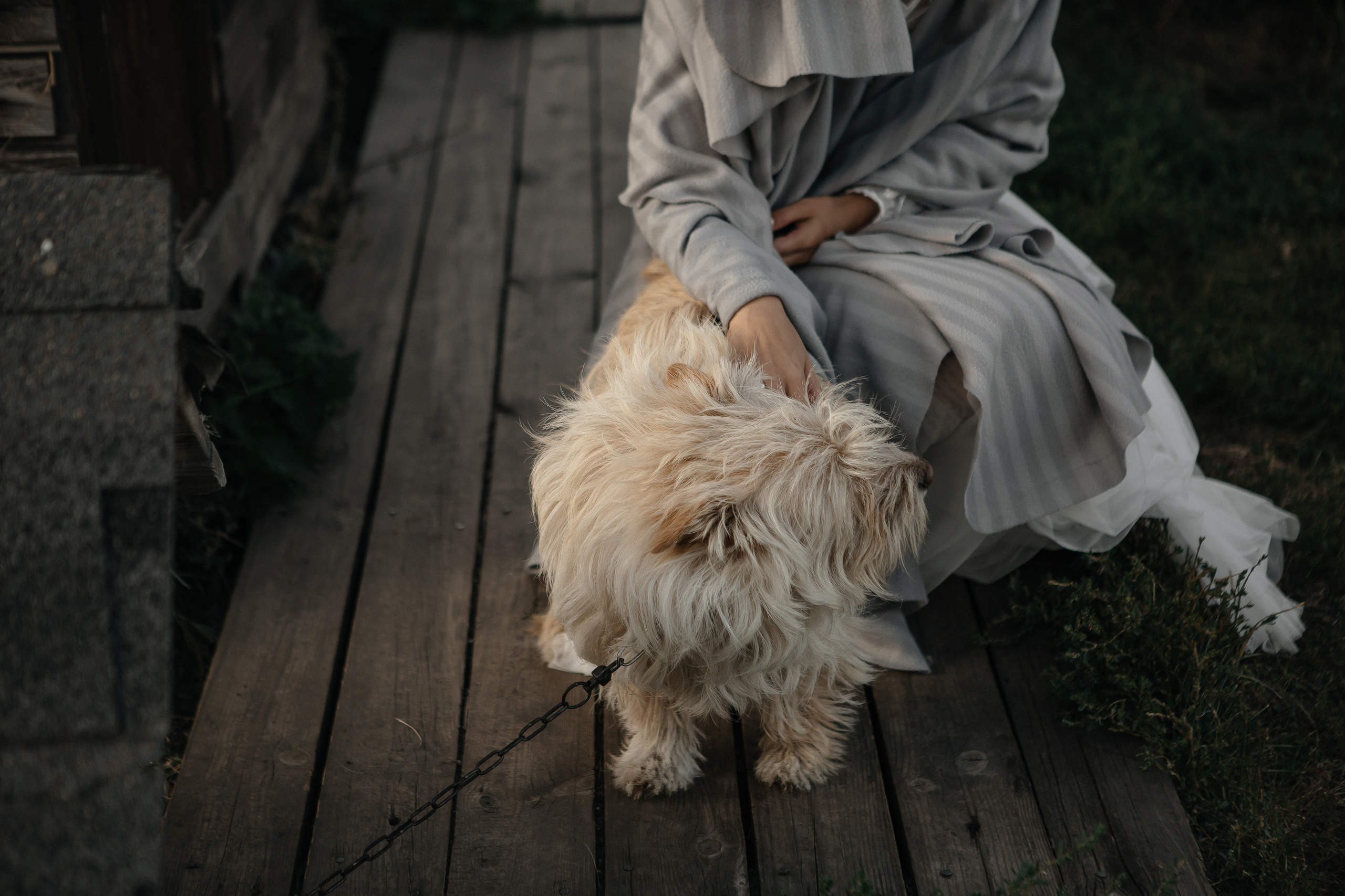 Виктория и Дмитрий. Фотограф Дубровская Виктория