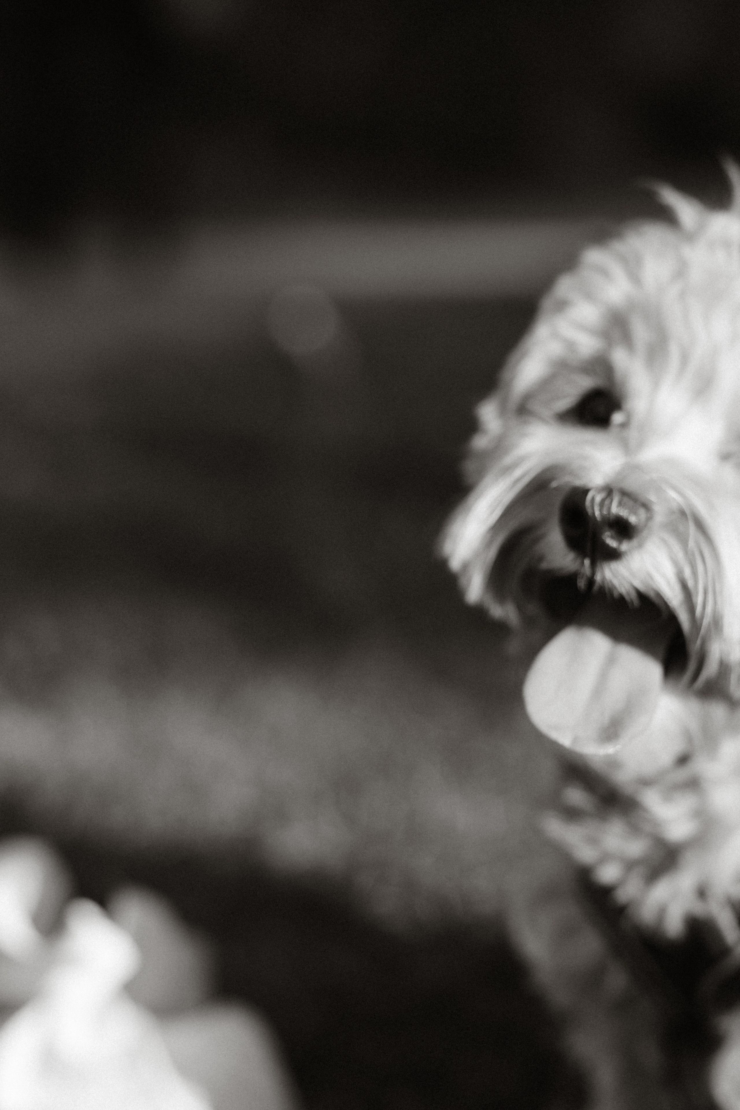 Евгений & Дарья. Фотограф Юлия Герасимова Иркутск