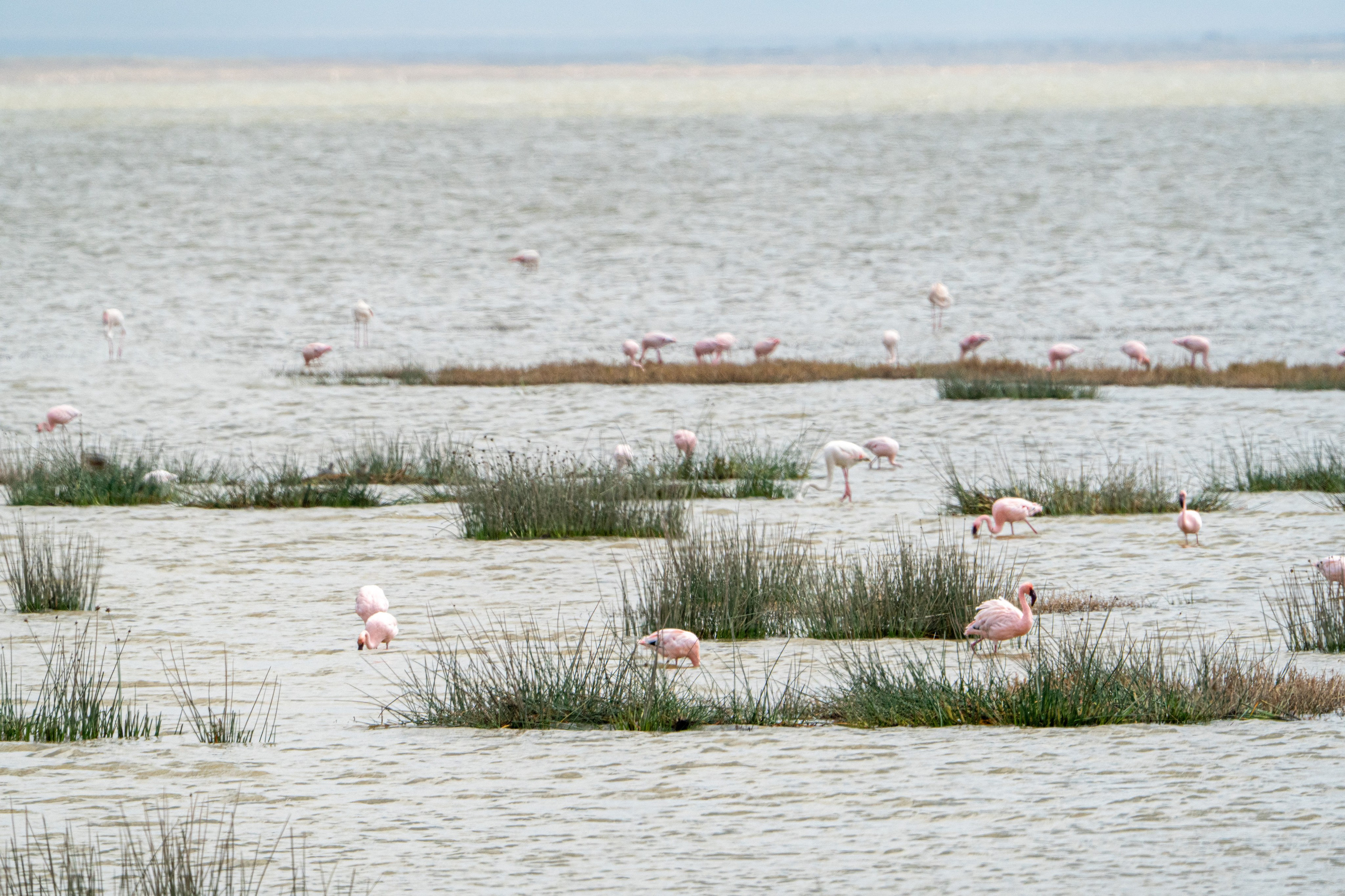 Танзания, сафари, 2025. Творческие сьемки