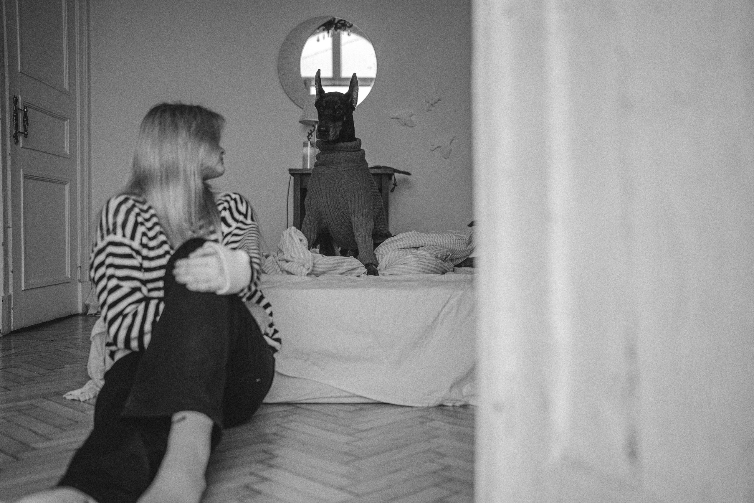 Саша и Асти. Фотограф анималист в Москве и Санкт-Петербурге Свиридова Анна