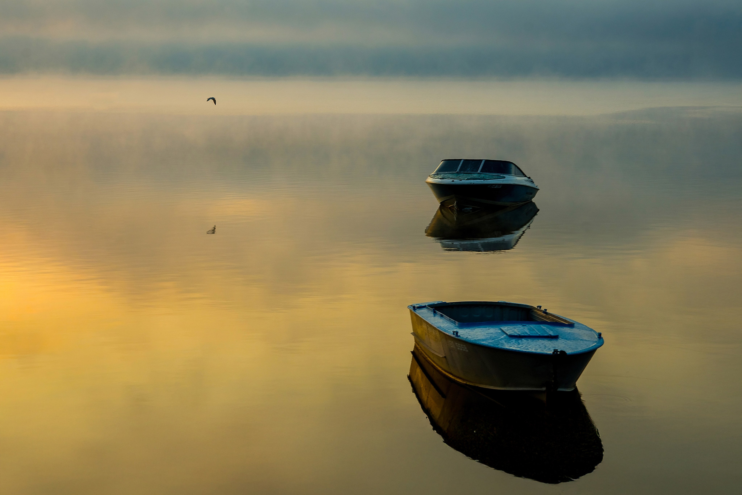 Наша мать — природа. Фотограф Владимир Артамонов