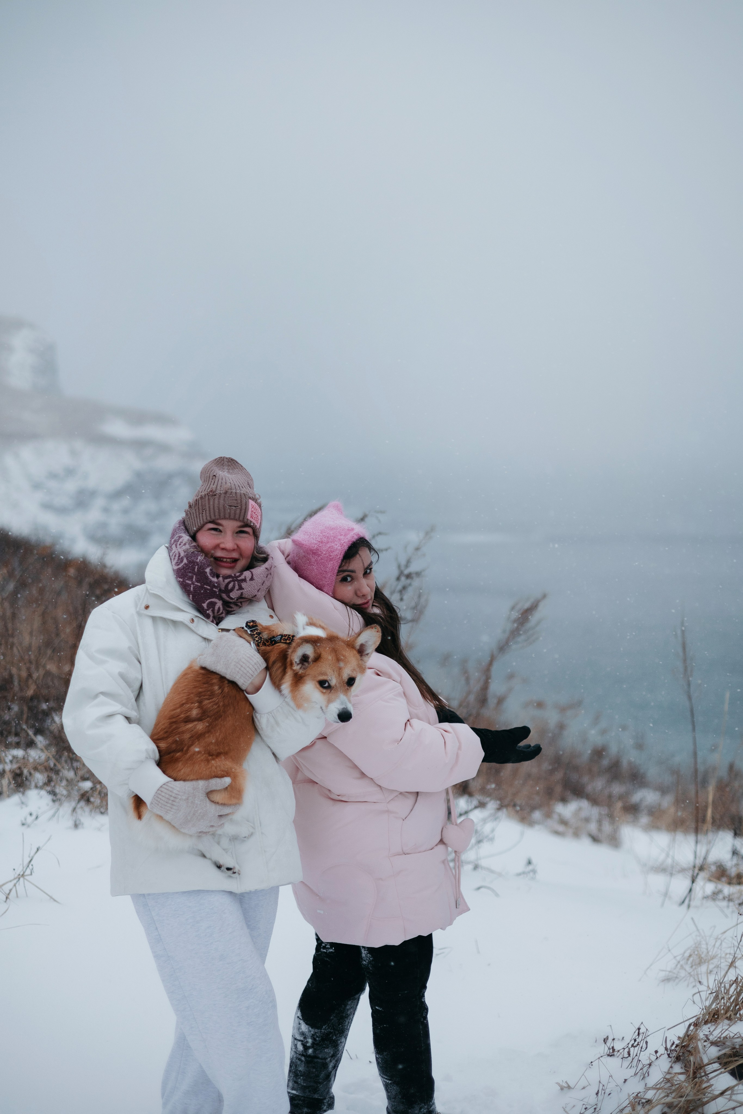 Лена, Лиза и Мия. Фотограф — анималист Владивосток, Алина