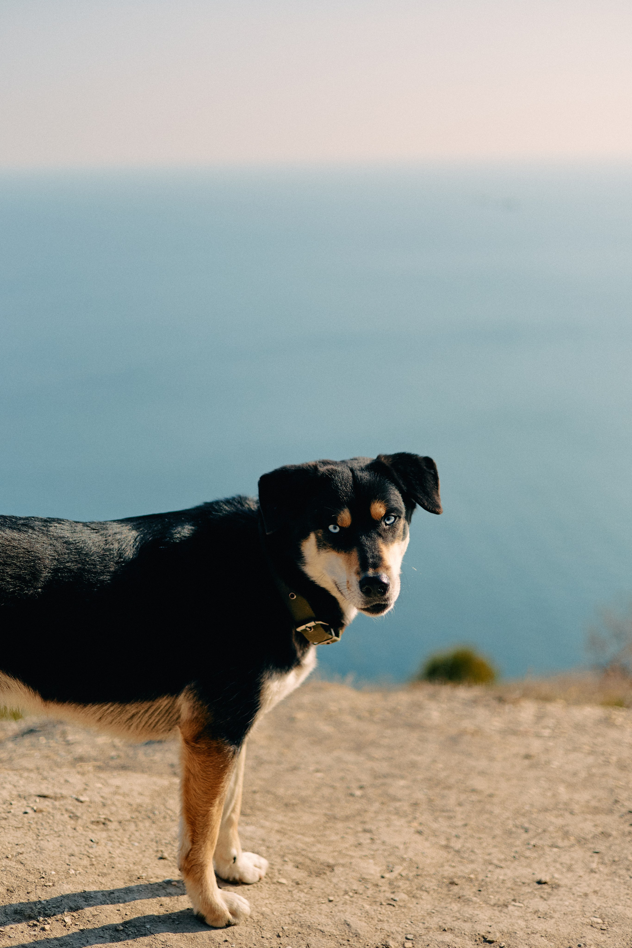 Юг России. Профессиональный Фотограф во Владимире, в Москве и в Суздале — Полина Романычева