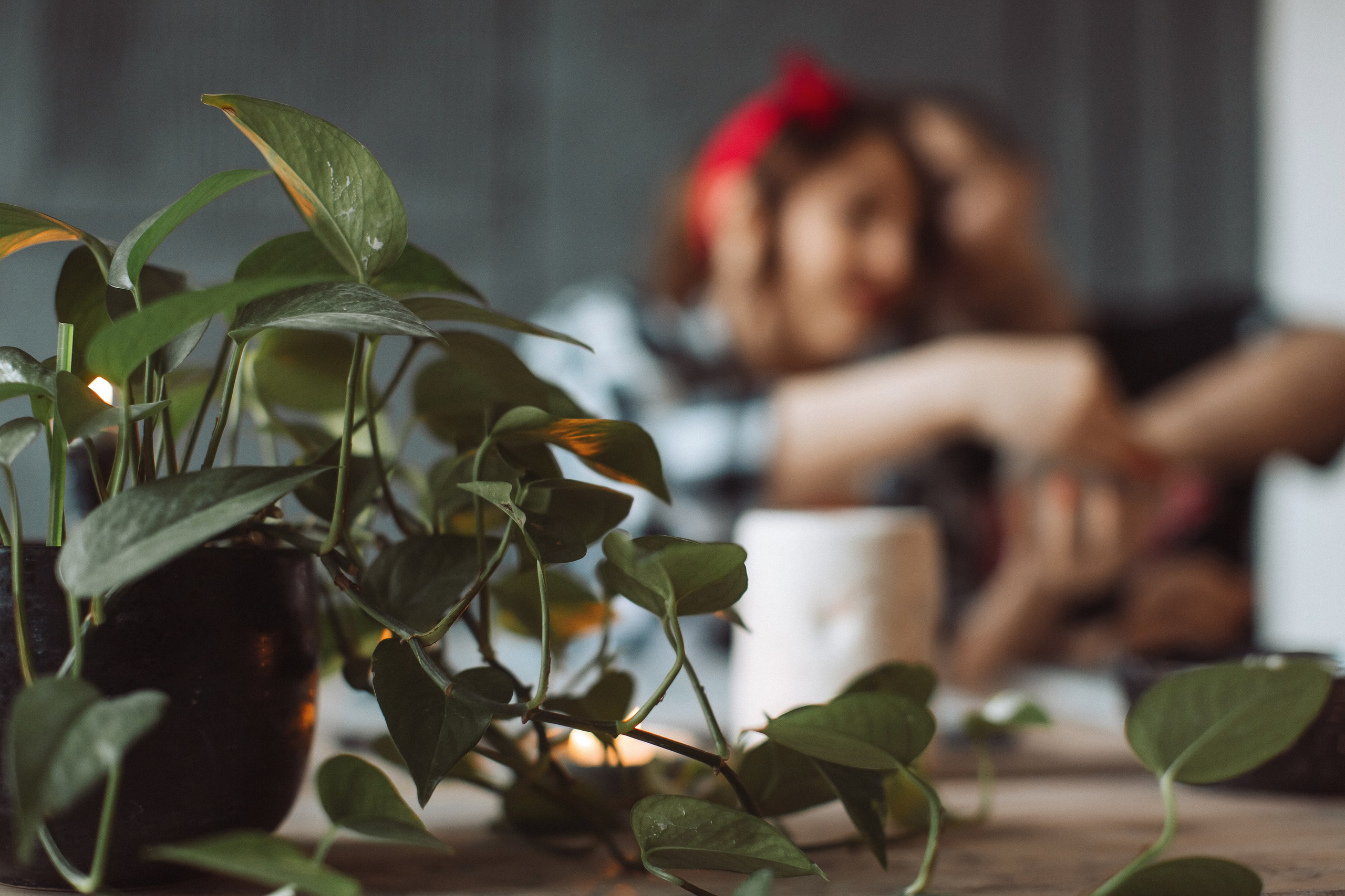 Катя и Дима. Свадебный фотограф Ярославль Ирина Волоцкая