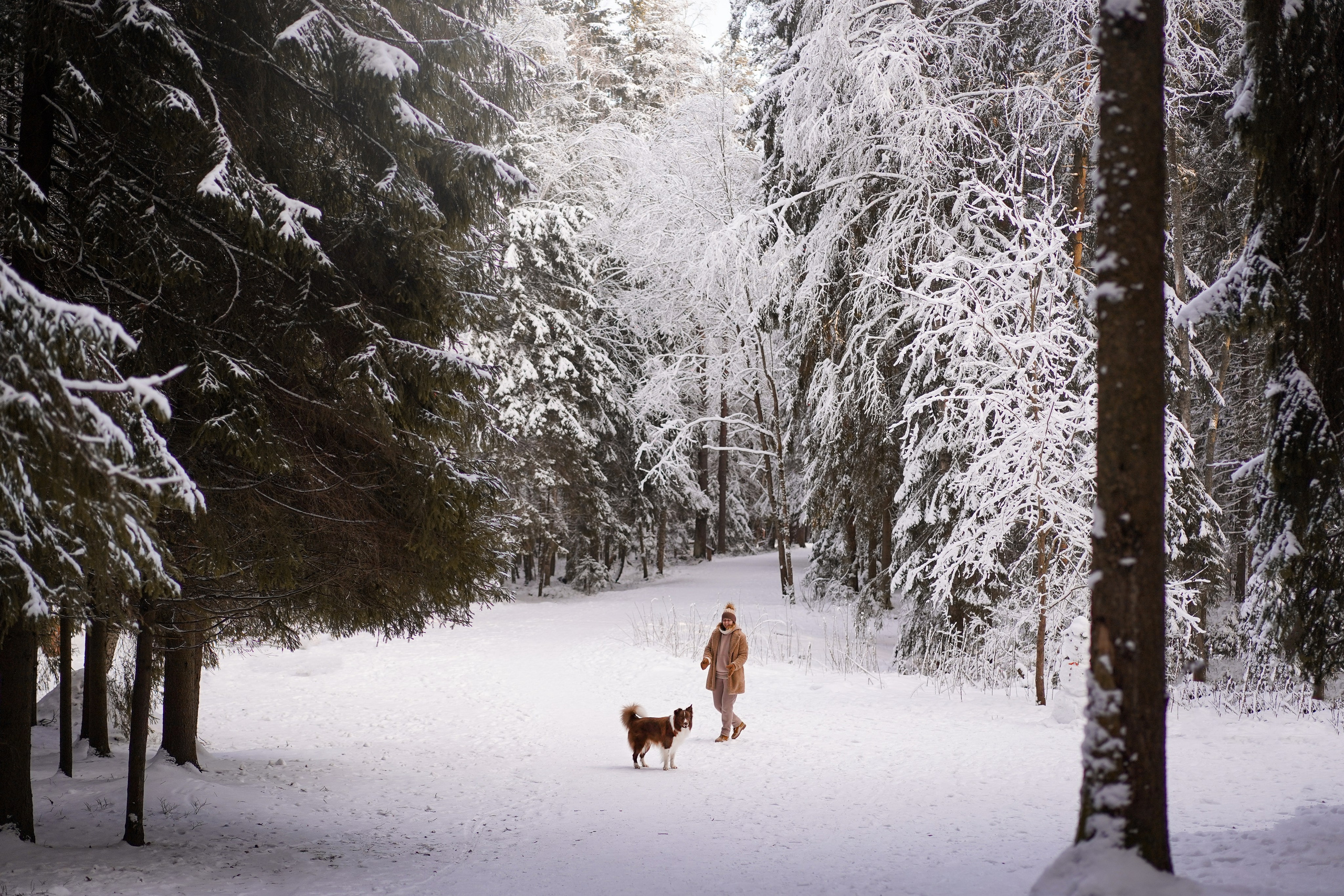 Катя и Ская. Фотограф-анималист в Санкт-Петербурге Яна Мартынова