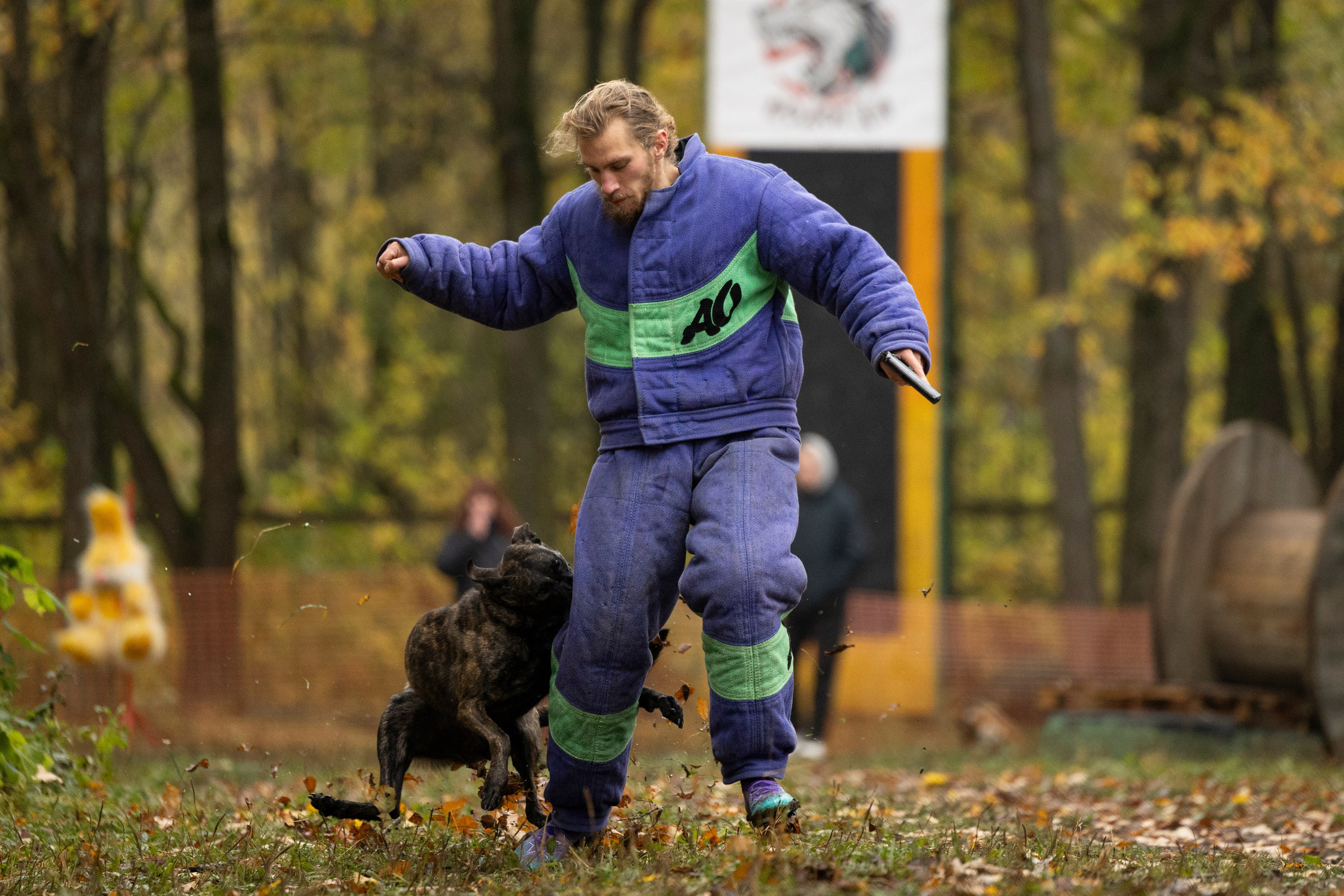 Соревнования по Мондьорингу г. Вологда. Фотограф-анималист Анна Маринич