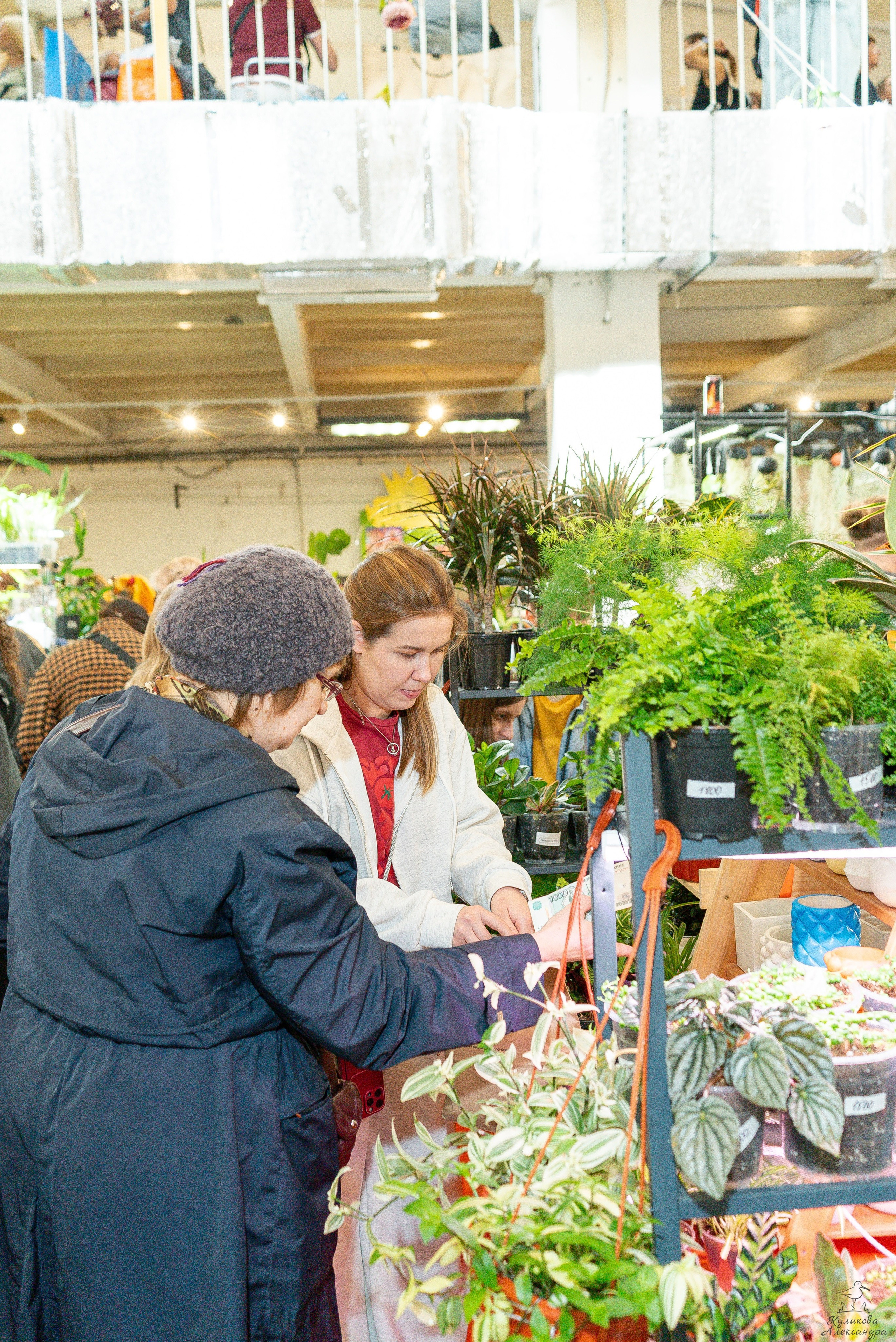 Гроубокс Артплей апрель. Александра Куликова фотограф, Москва