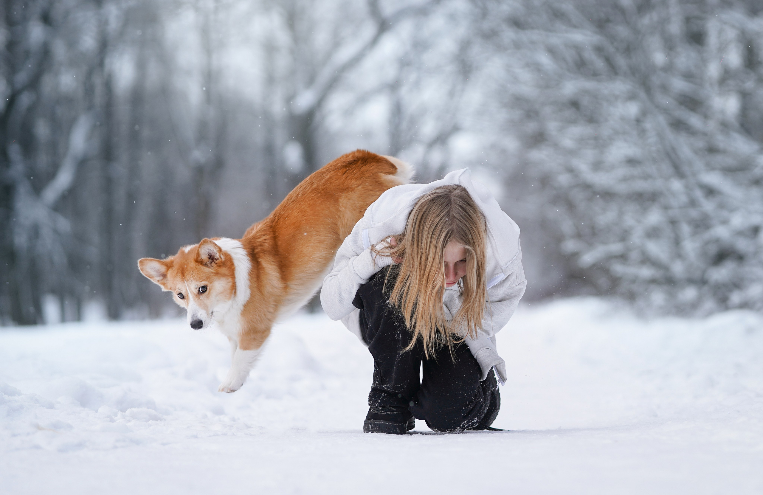 Кристина и Лаки. Фотограф-анималист в Санкт-Петербурге Яна Мартынова