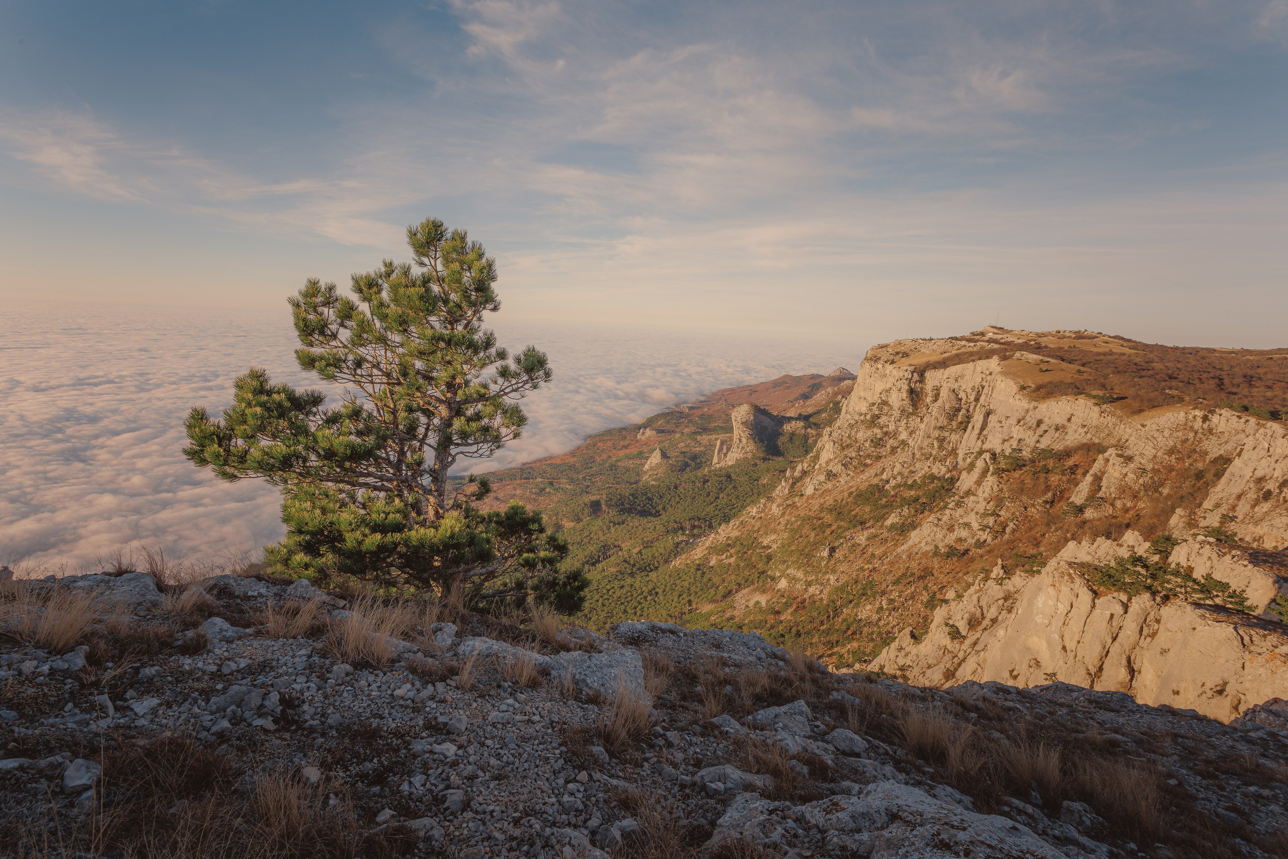 Пейзажная фотография. Фотошкола ArtFotoLife для начинающих и продвинутых фотографов