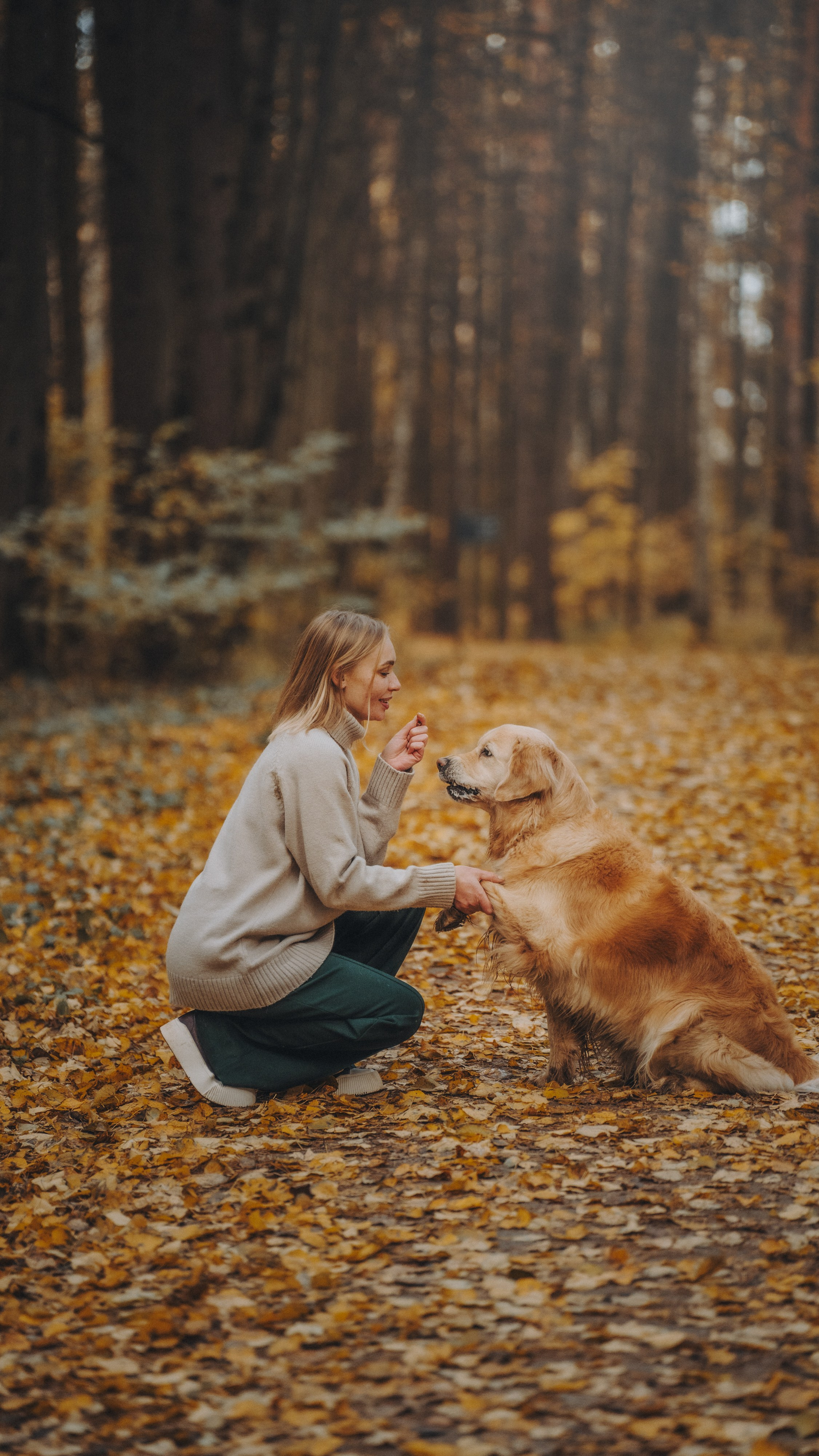 Анастасия и Айза. Фотограф анималист в Москве и Санкт-Петербурге Свиридова Анна