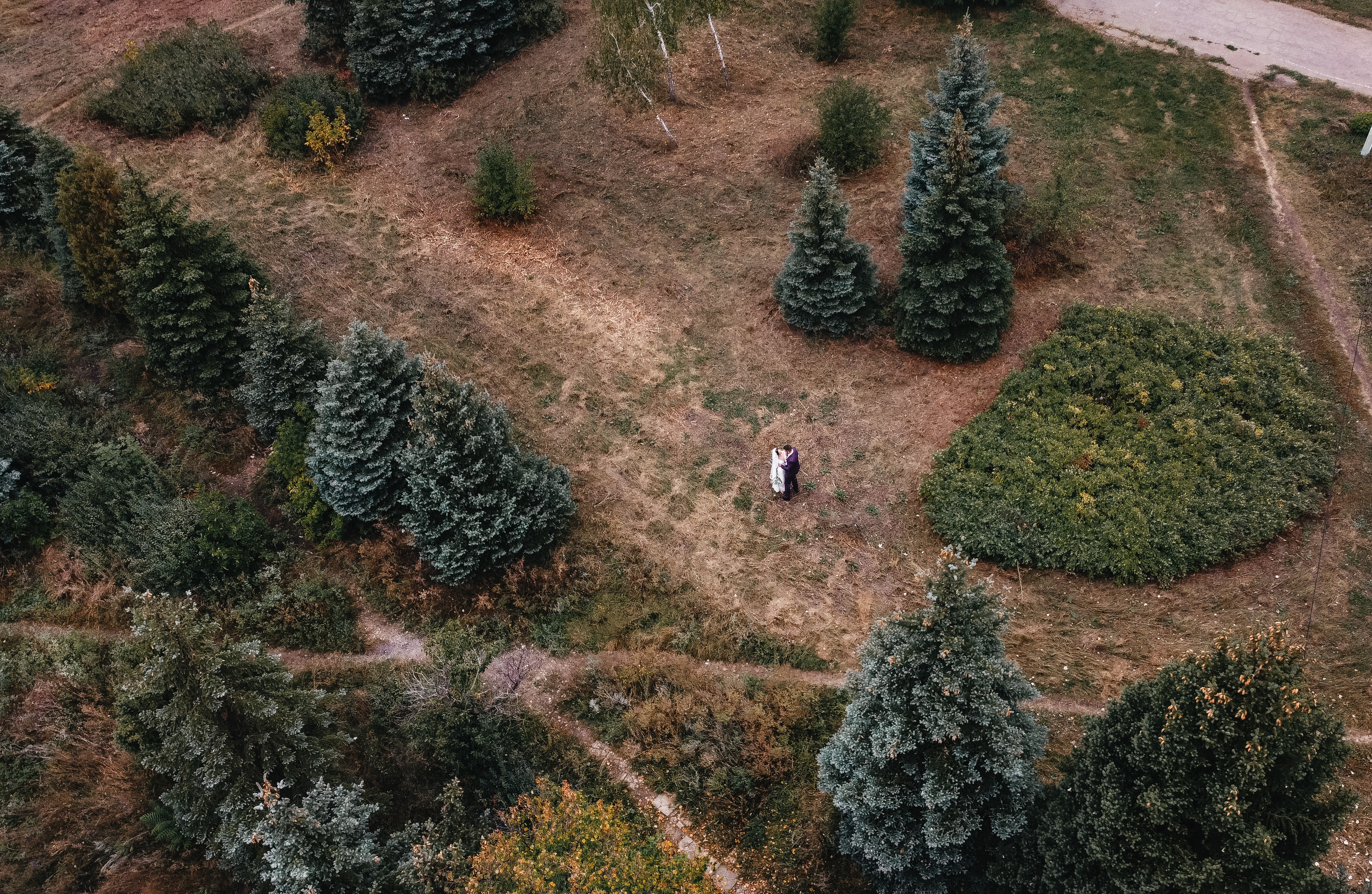 Оксана & Михаил. Свадебный фотограф в Донецке — Вита Донец