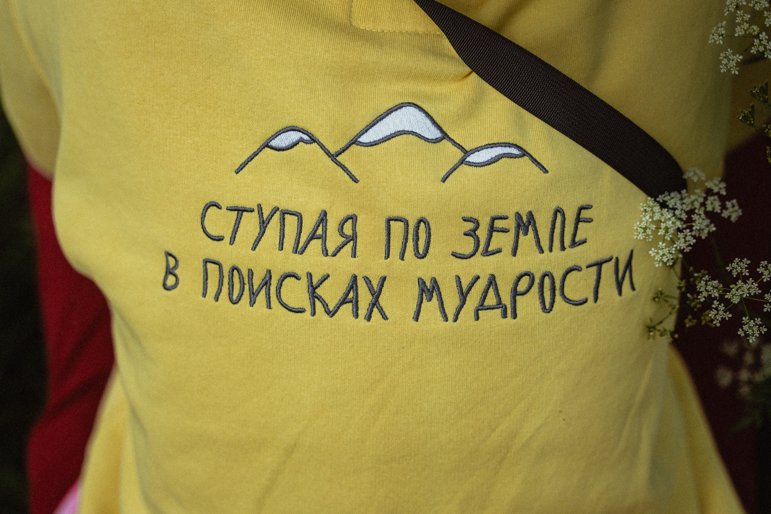 Выездной дог-тренинг от школы «Шерсть имею»