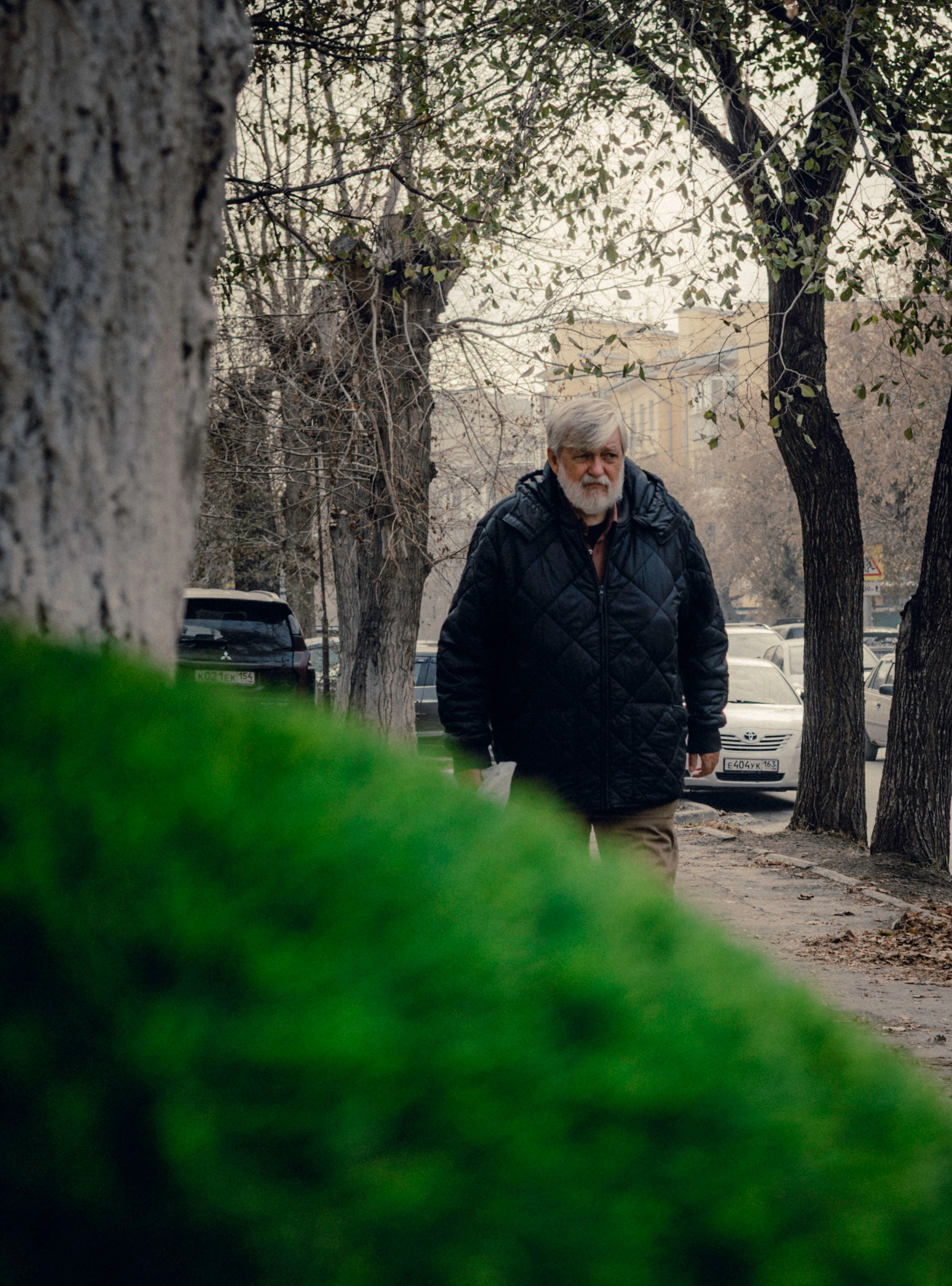 StreetPhoto. Foto-petrovsky.ru