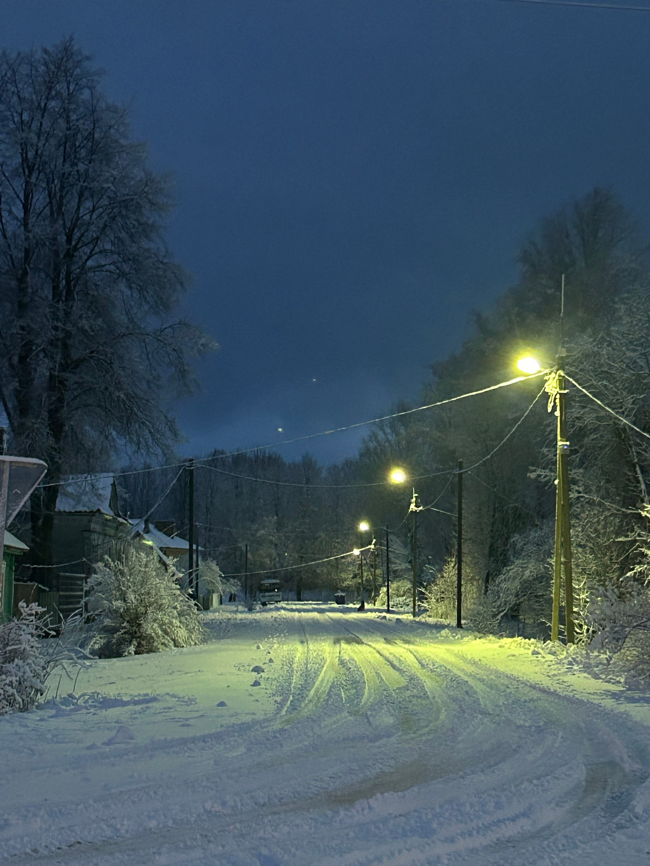 Зимняя сказка. Фотокружок «Видоискатель» ГБОУ СОШ № 291
