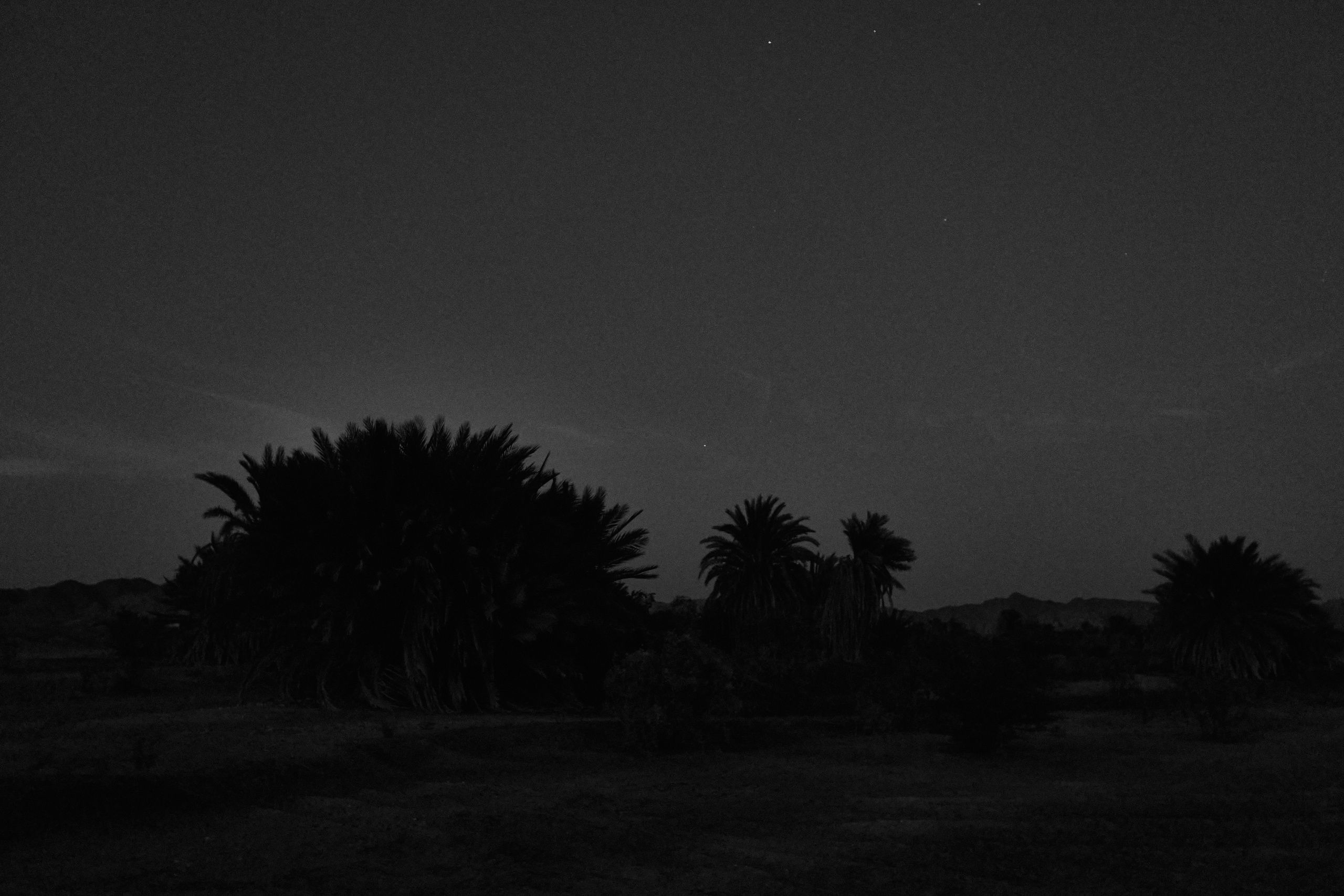 Другое 3. Jorgis — фотограф в Хургаде / обучение фотографии