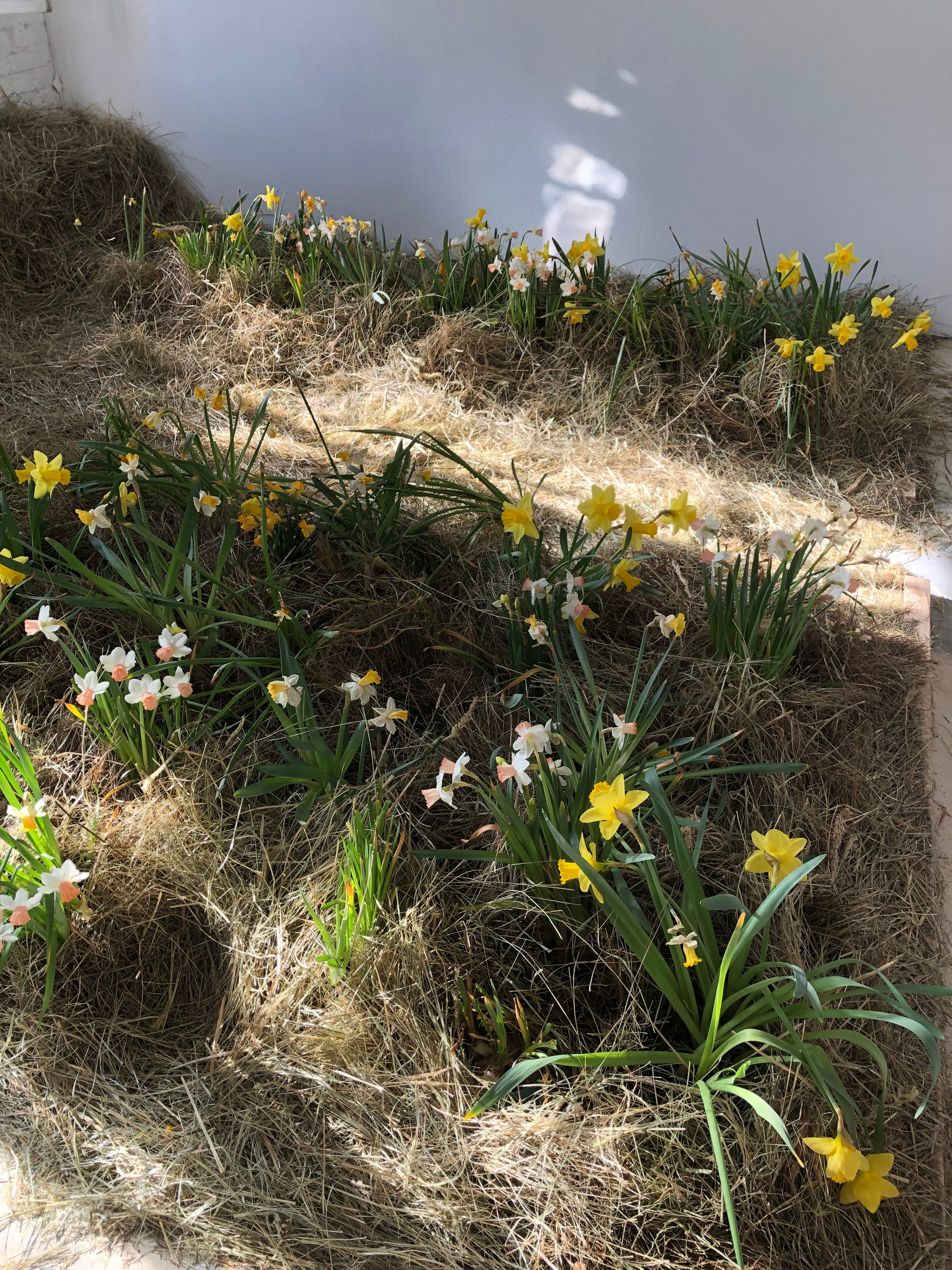 Фотостудия МОХ зал Свет. Фотограф Настя Лев