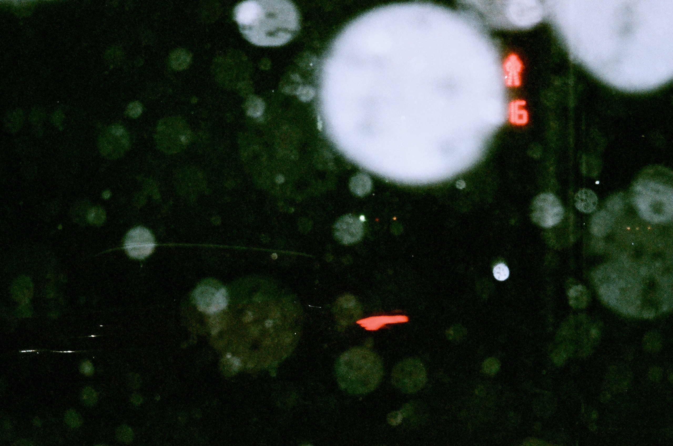 Film. Ruslan UI Dev Page