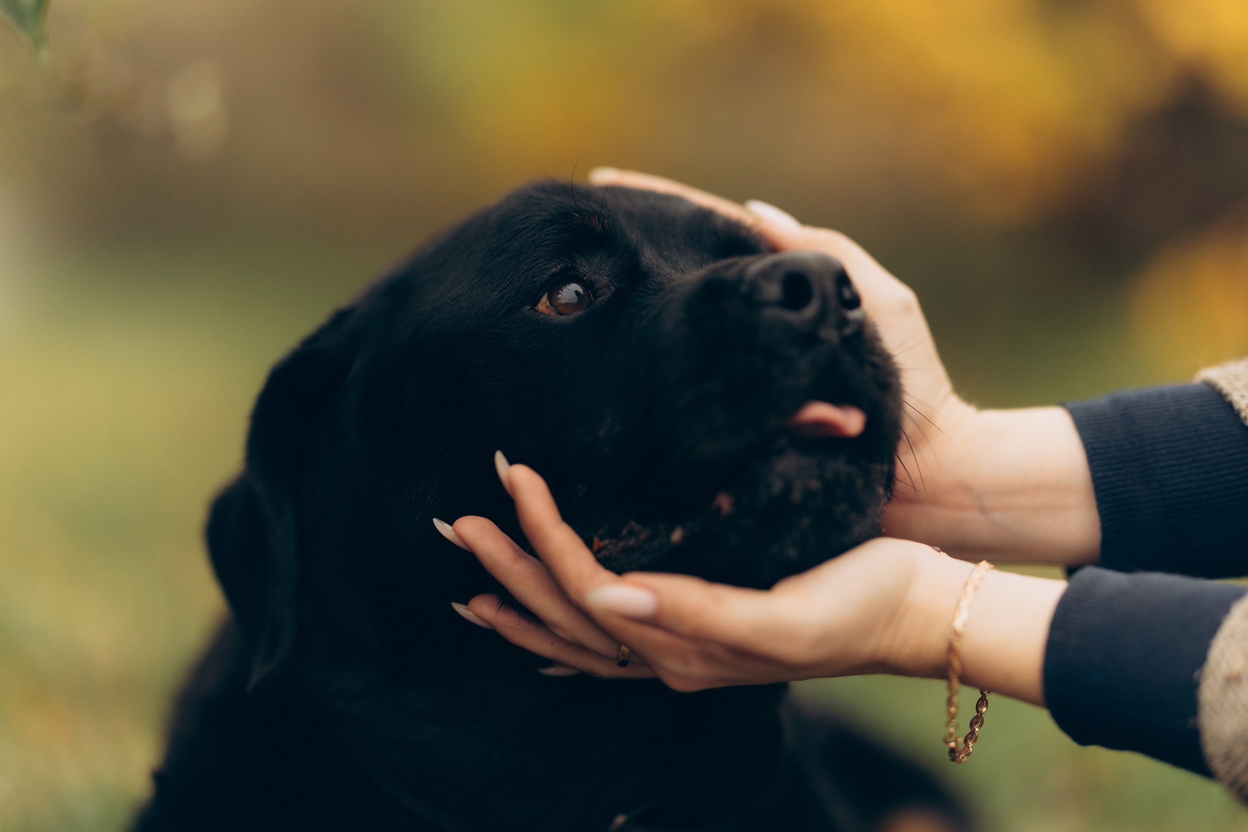Маша и Лель. Татьяна Афонина | Фотограф
