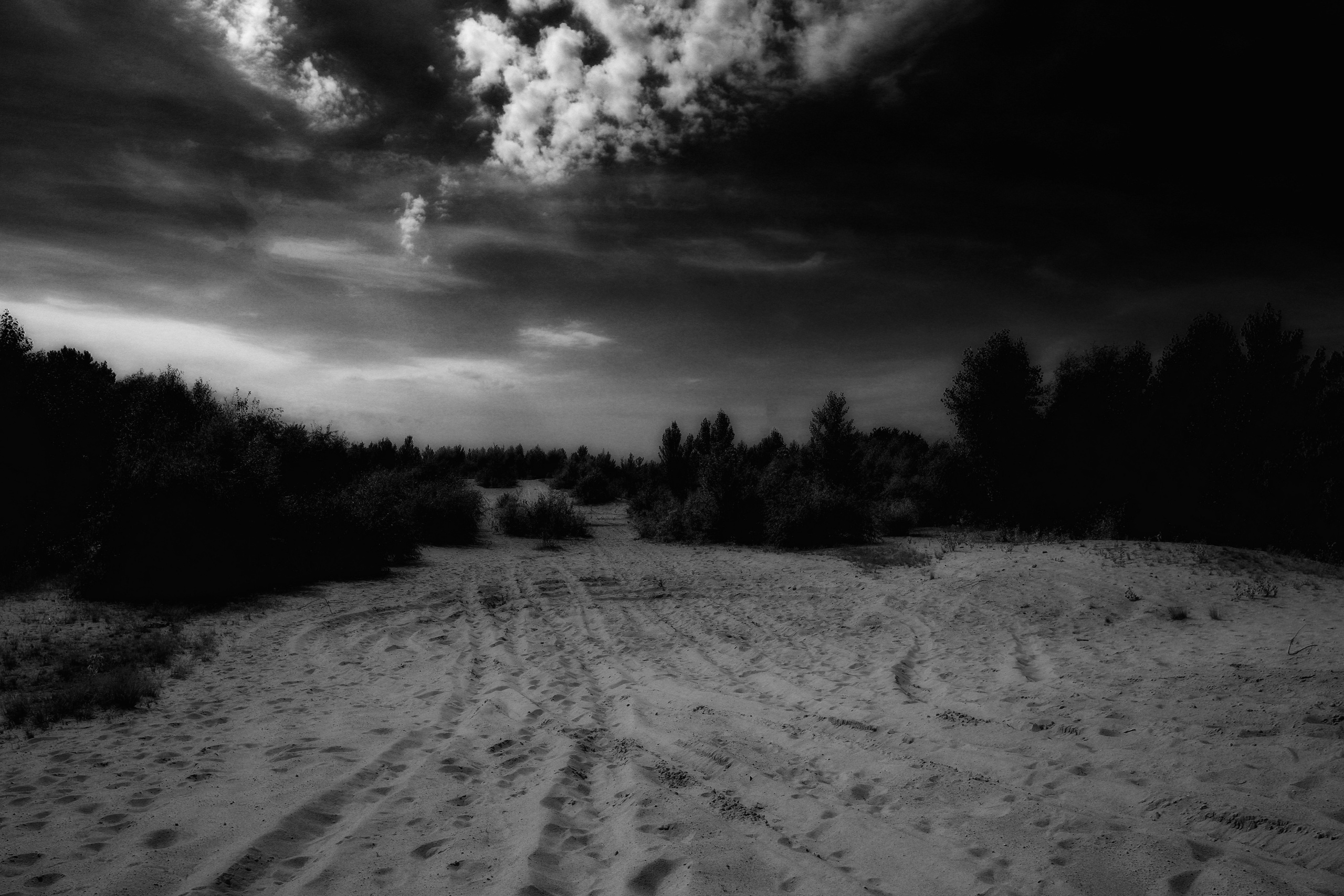 ЧБ  пейзажи (BnW landscape). Фотограф (photographer) Lischinski Vitaliy