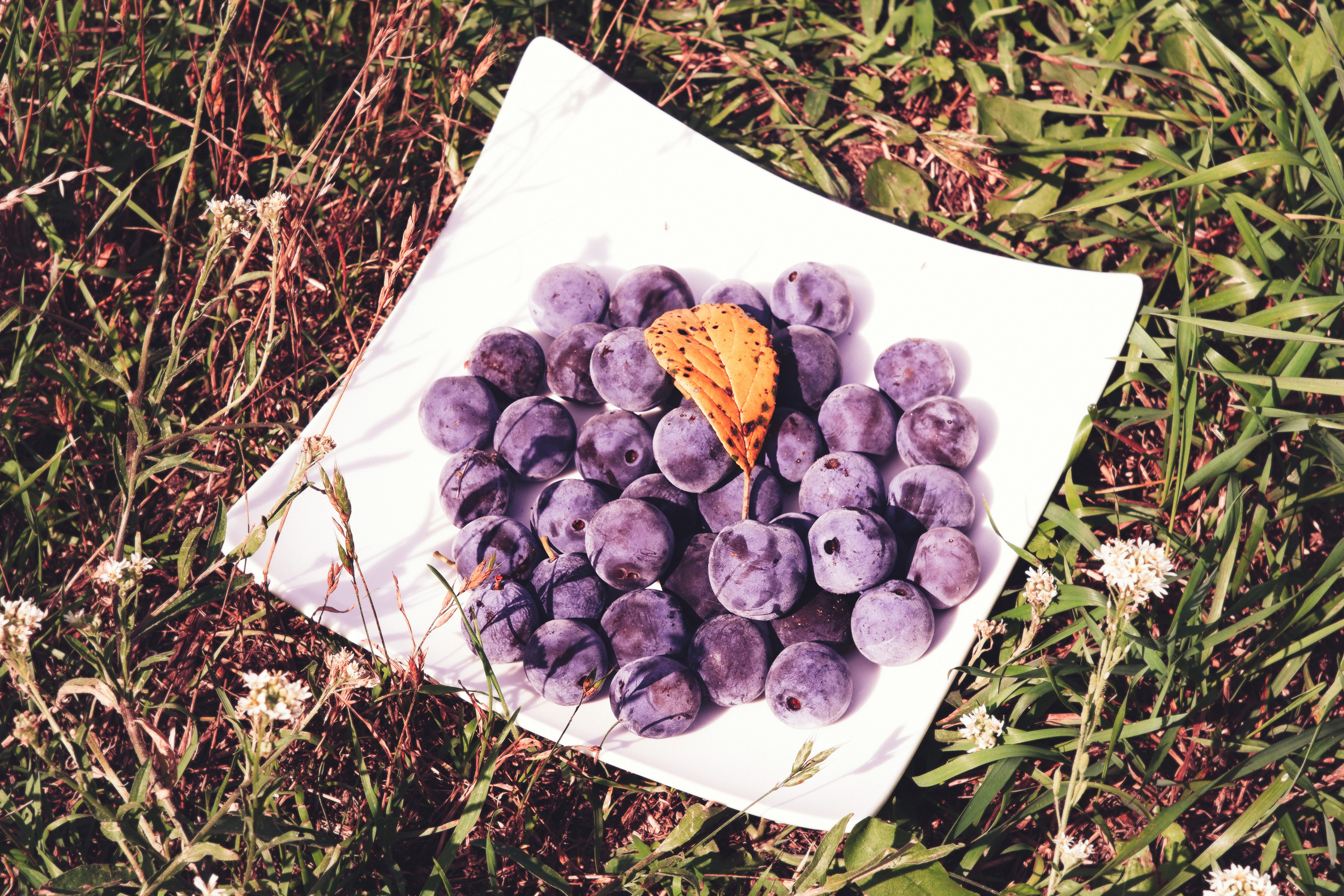 Предметная и фуд-фотография (Food and subject photography). Фотограф (photographer) Lischinski Vitaliy