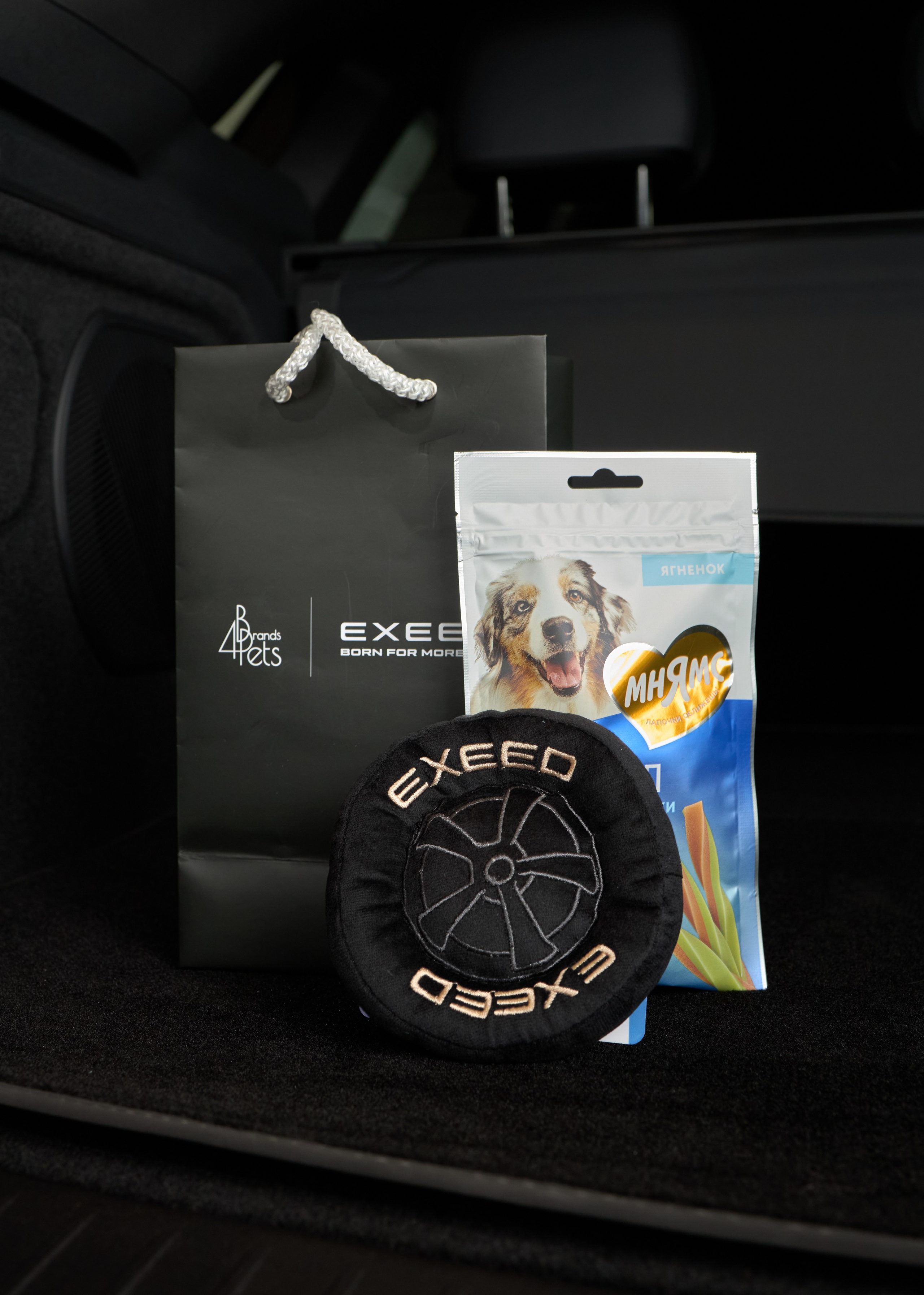 Exeed Pet friendly. Фотограф Михаил Стенин