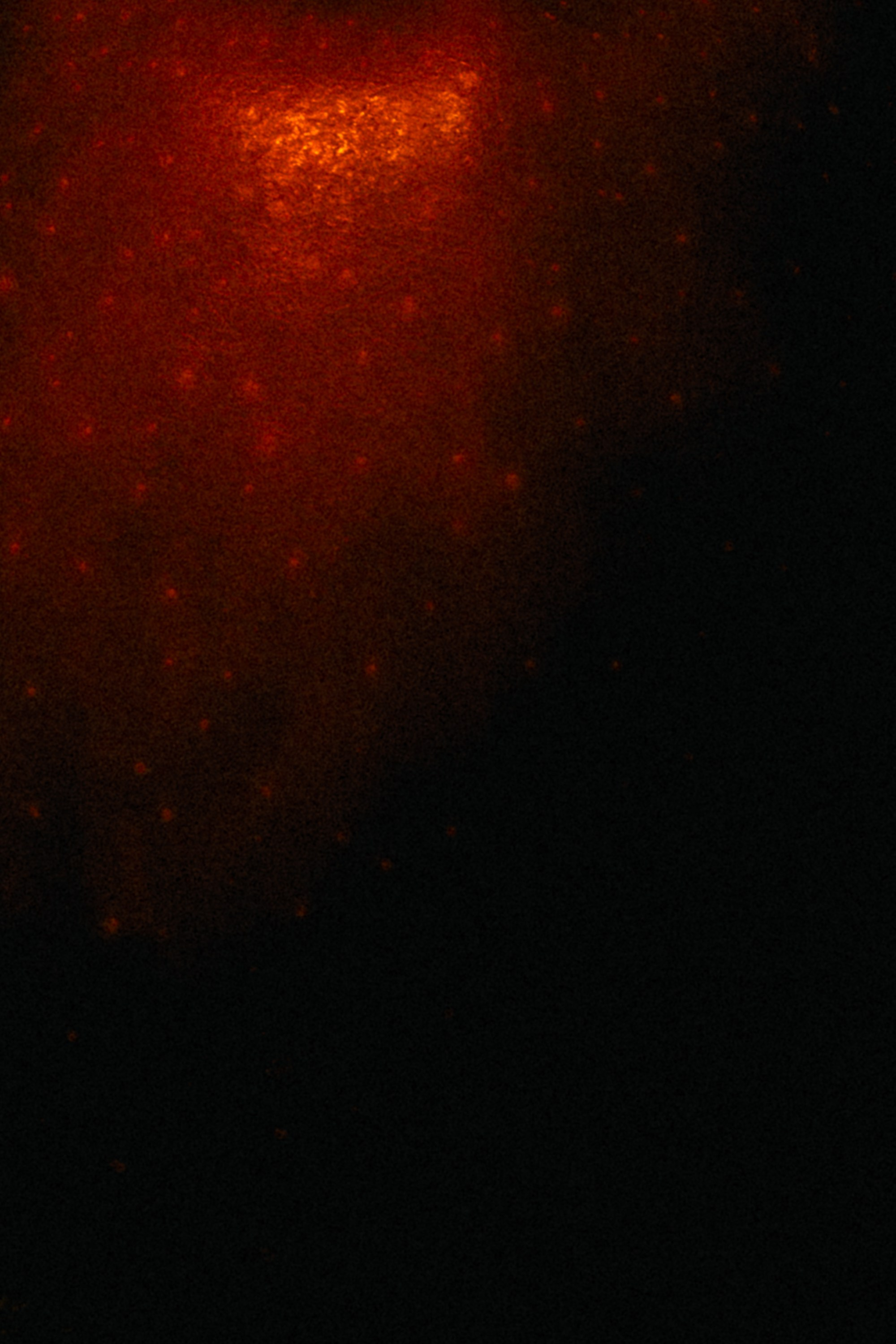 33. Репортажный и портретный фотограф во Владимире Сергей Кравцов