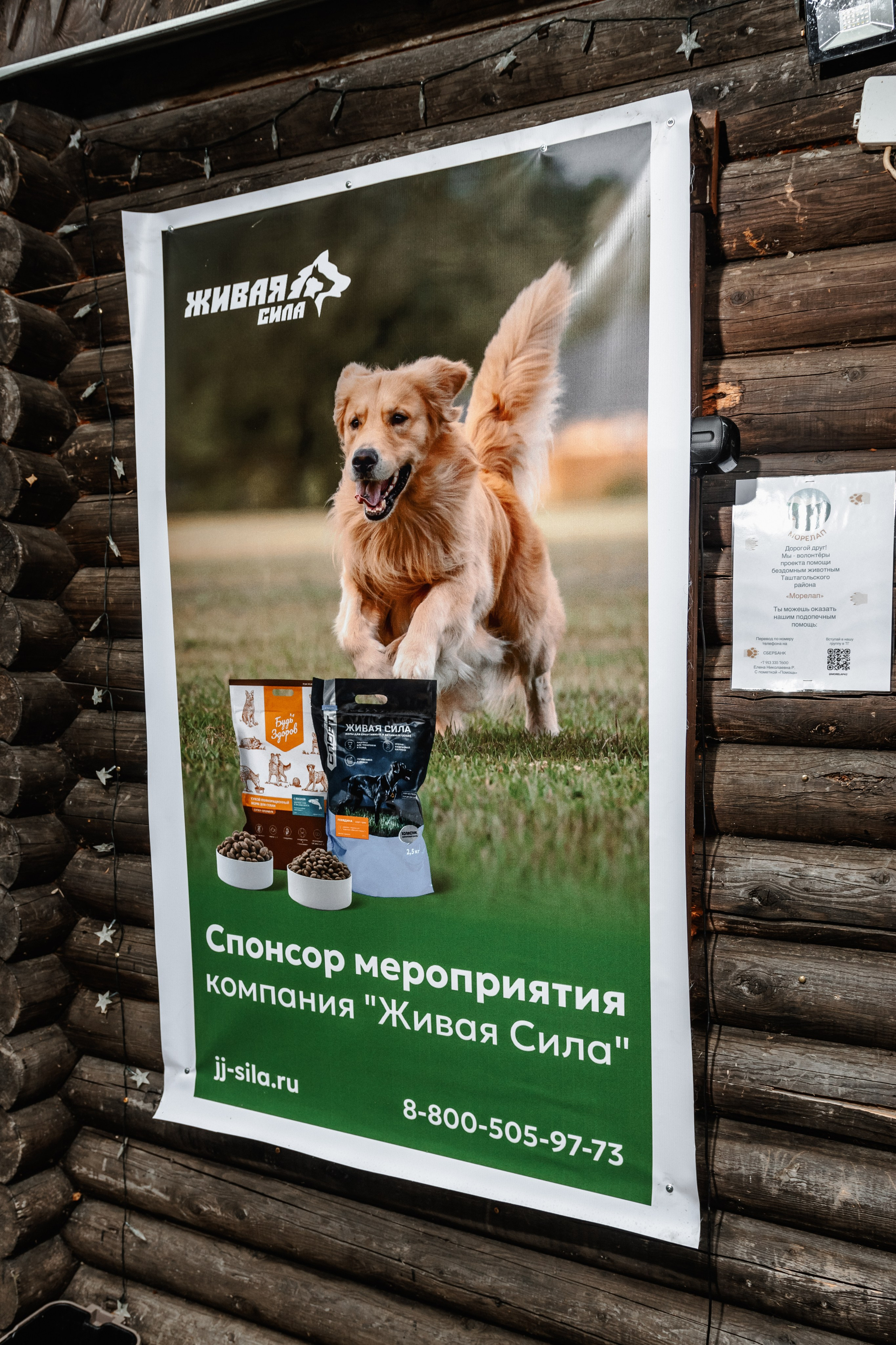 Дог-треккинг