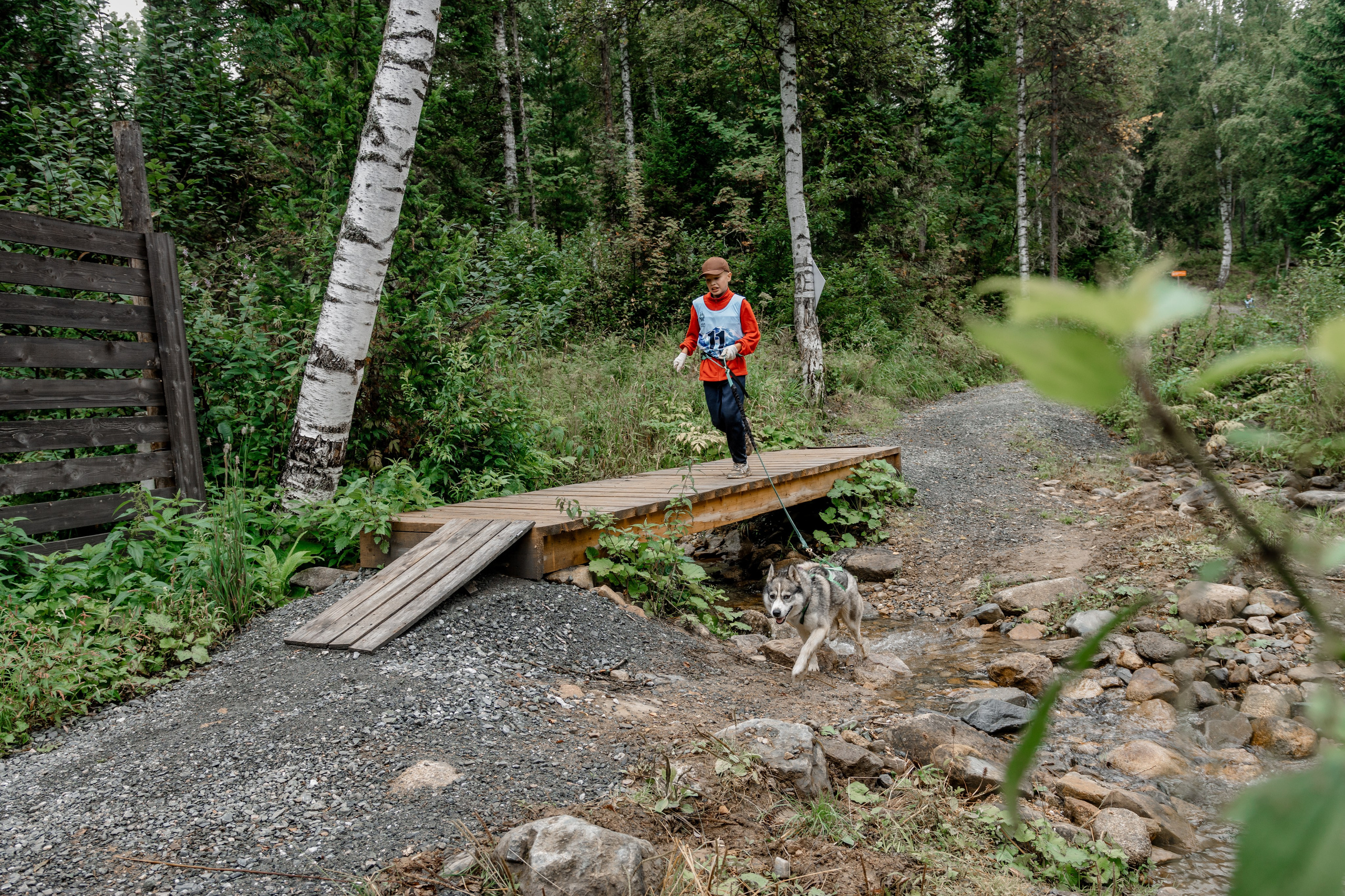 Дог-треккинг