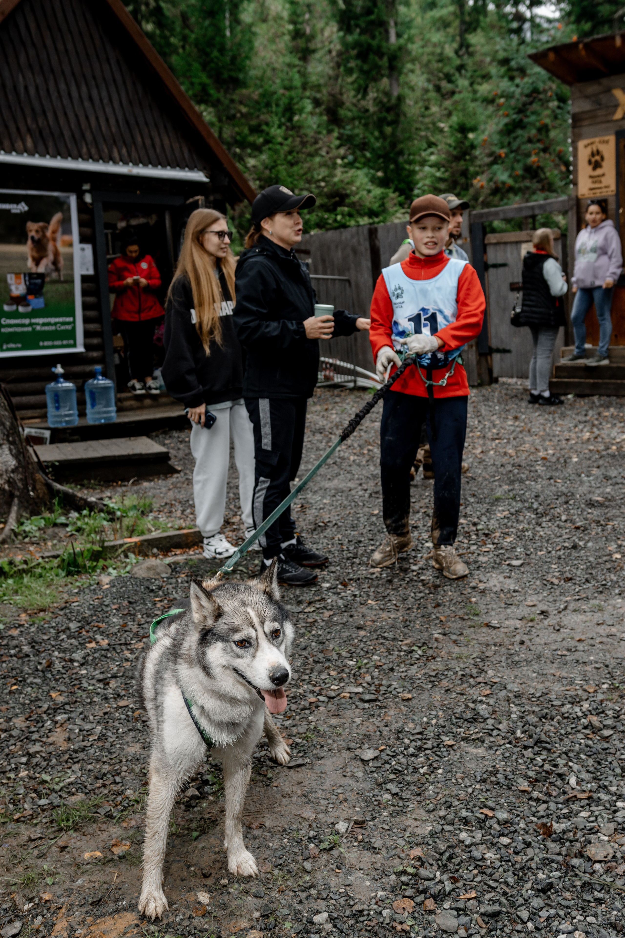 Дог-треккинг
