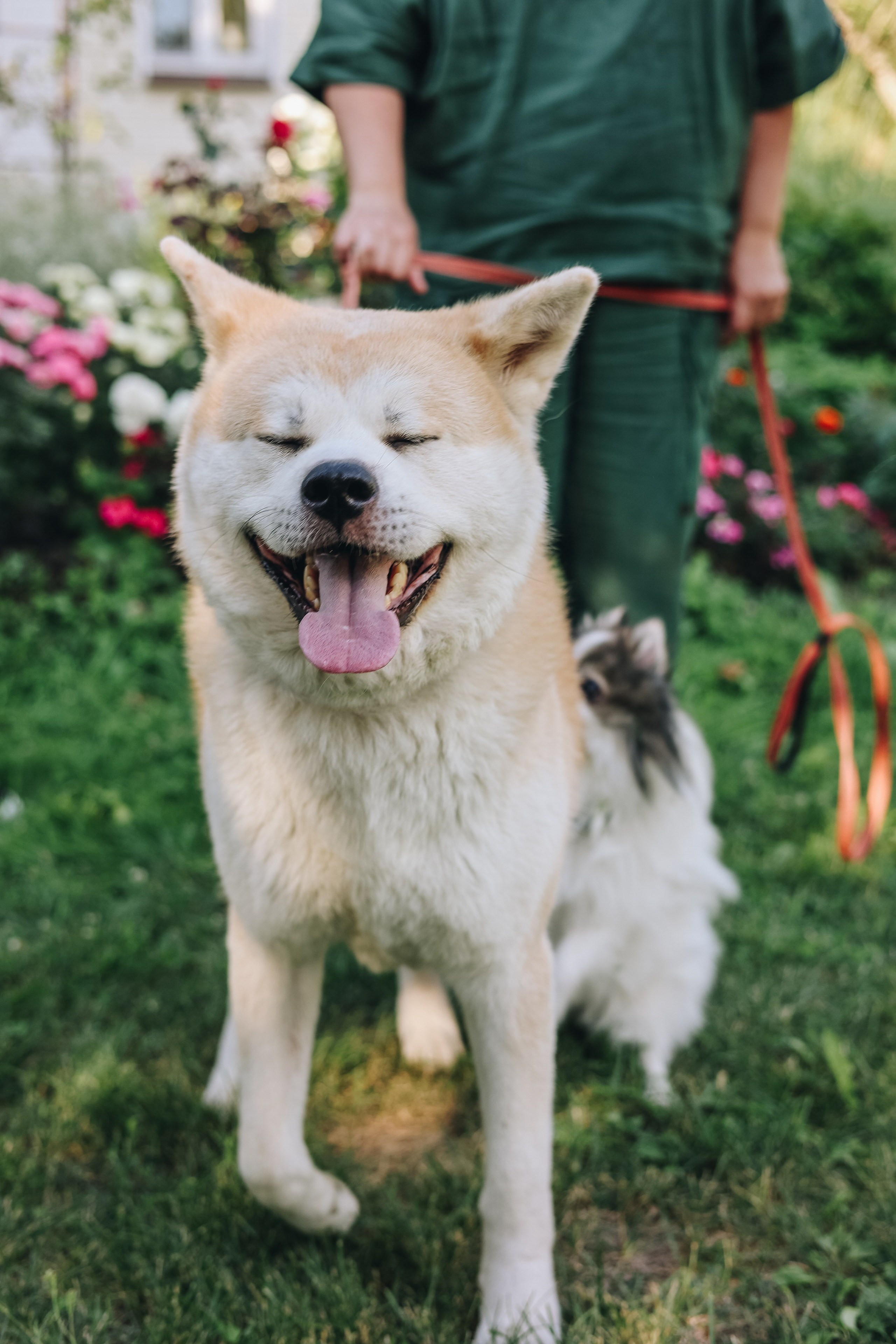 Илья 2 года. Фотограф Диана Воробьева Нижний Новгород