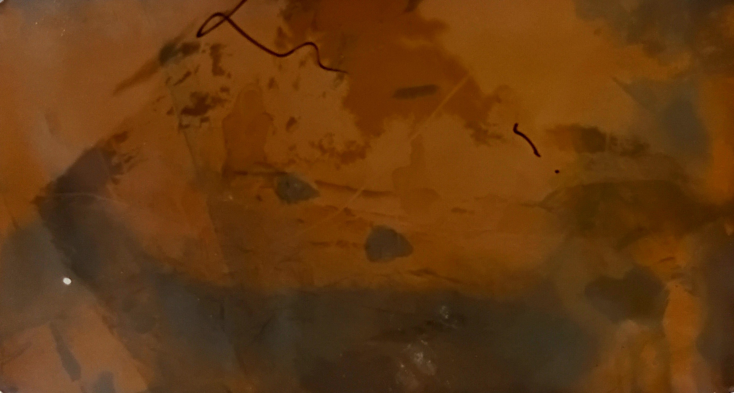 Фото-альтернатива. Данил Андреев, мультидисциплинарный художник, Санкт-Петербург