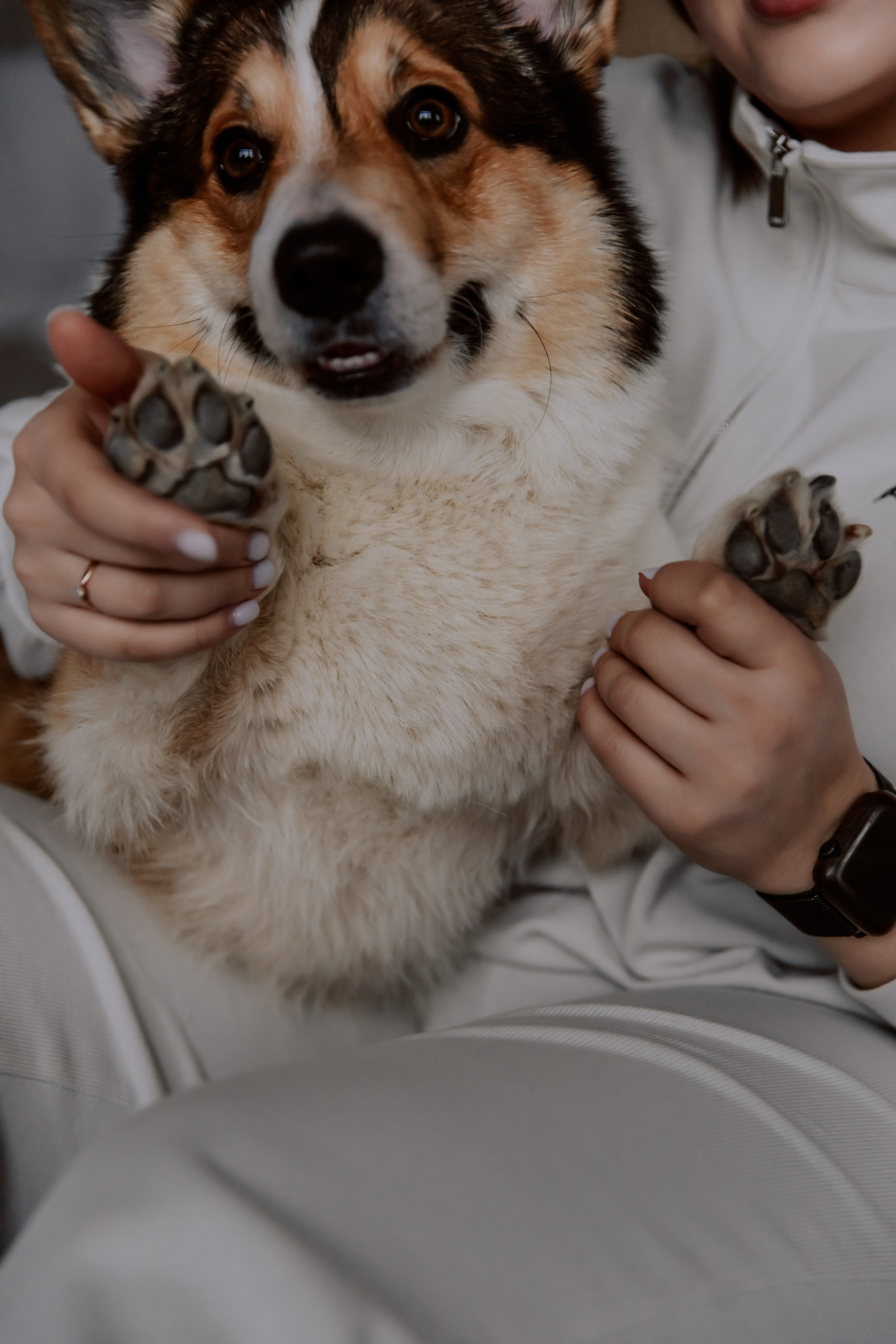 Саша, Илья и песик Кураж. Фотограф, который снимает любовь в Санкт-Петербурге и Череповце