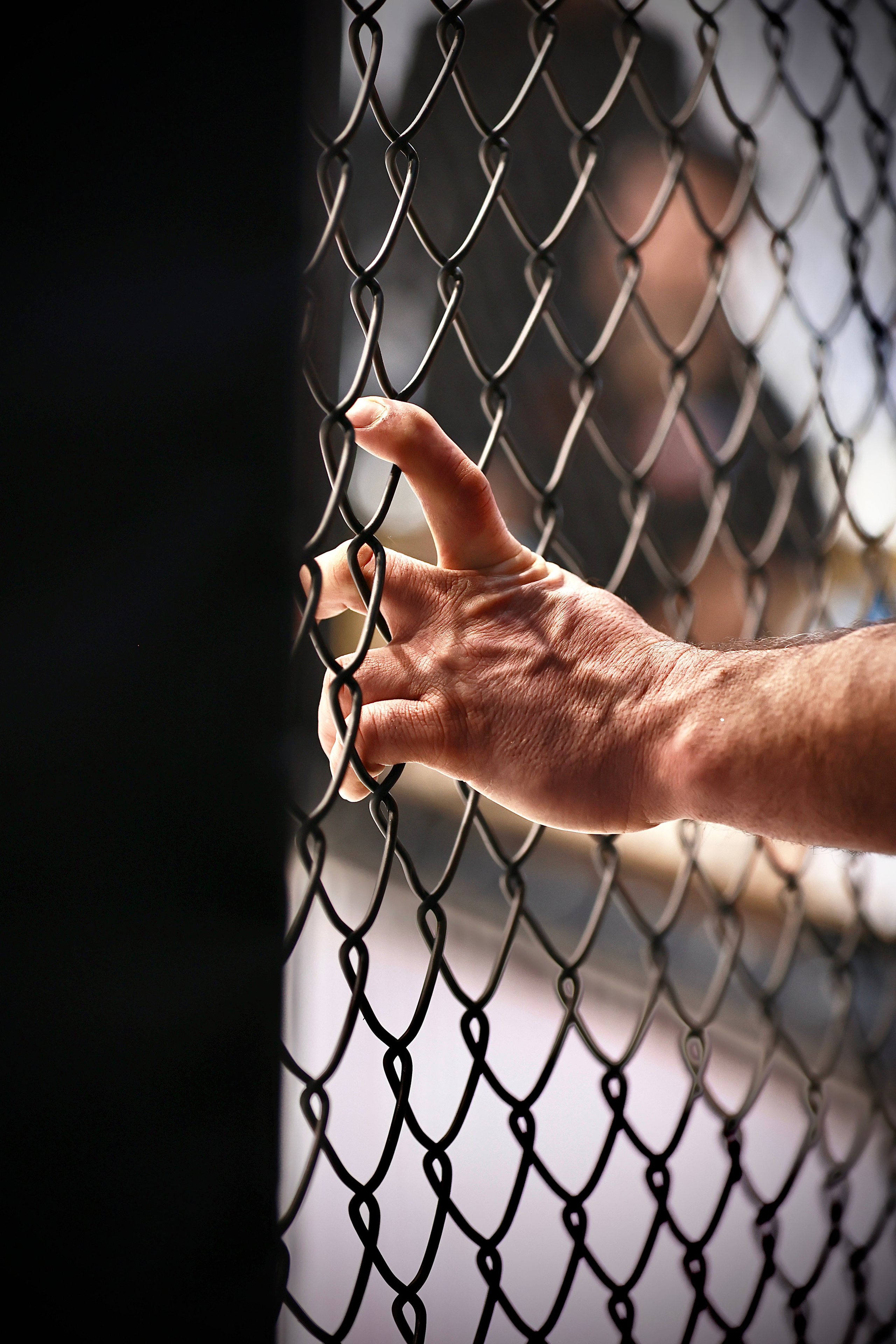 Оpen cage 19.02.2023. Фото и видео съемка Ваших мероприятий