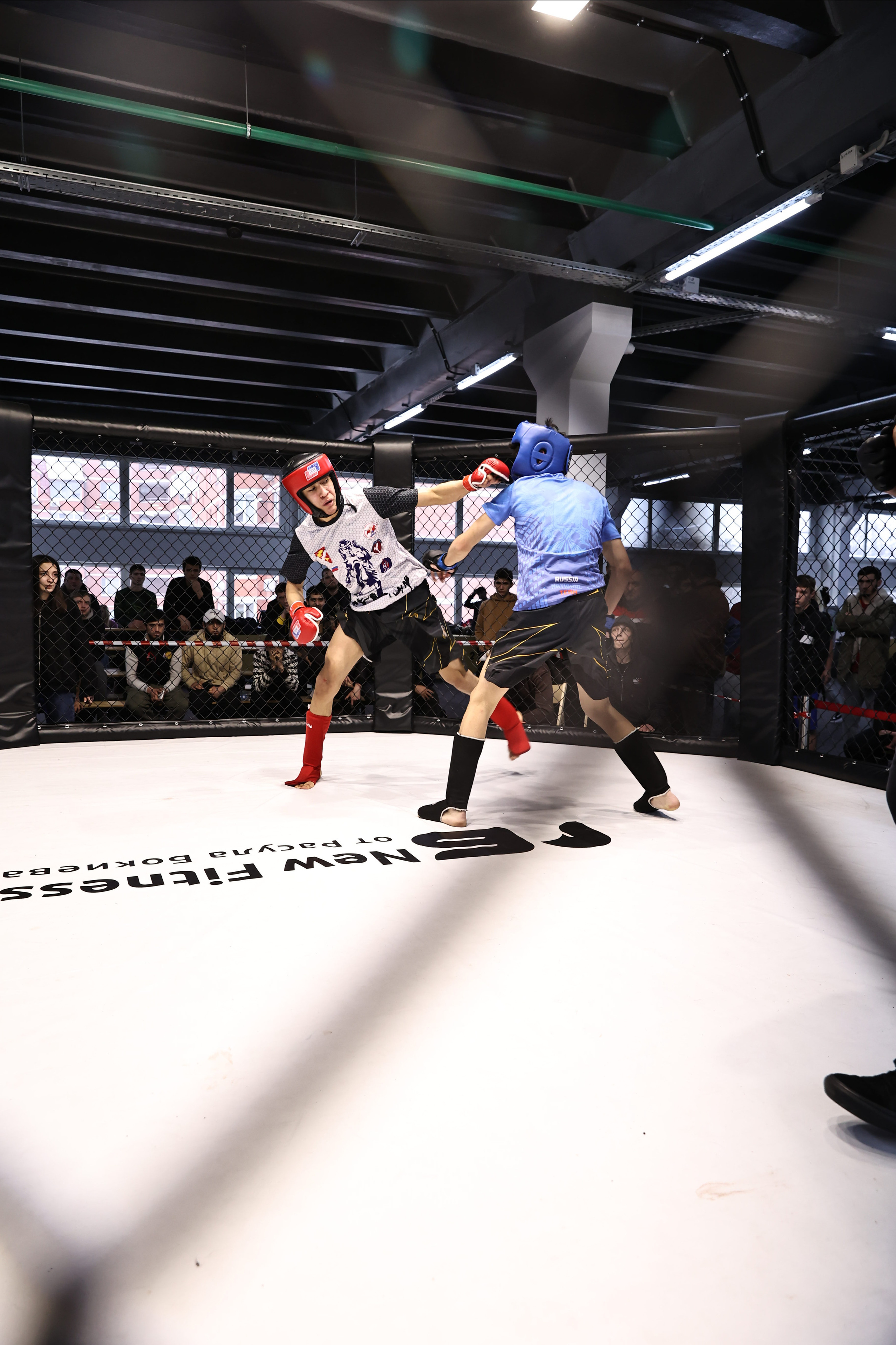 Оpen cage 19.02.2023. Фото и видео съемка Ваших мероприятий