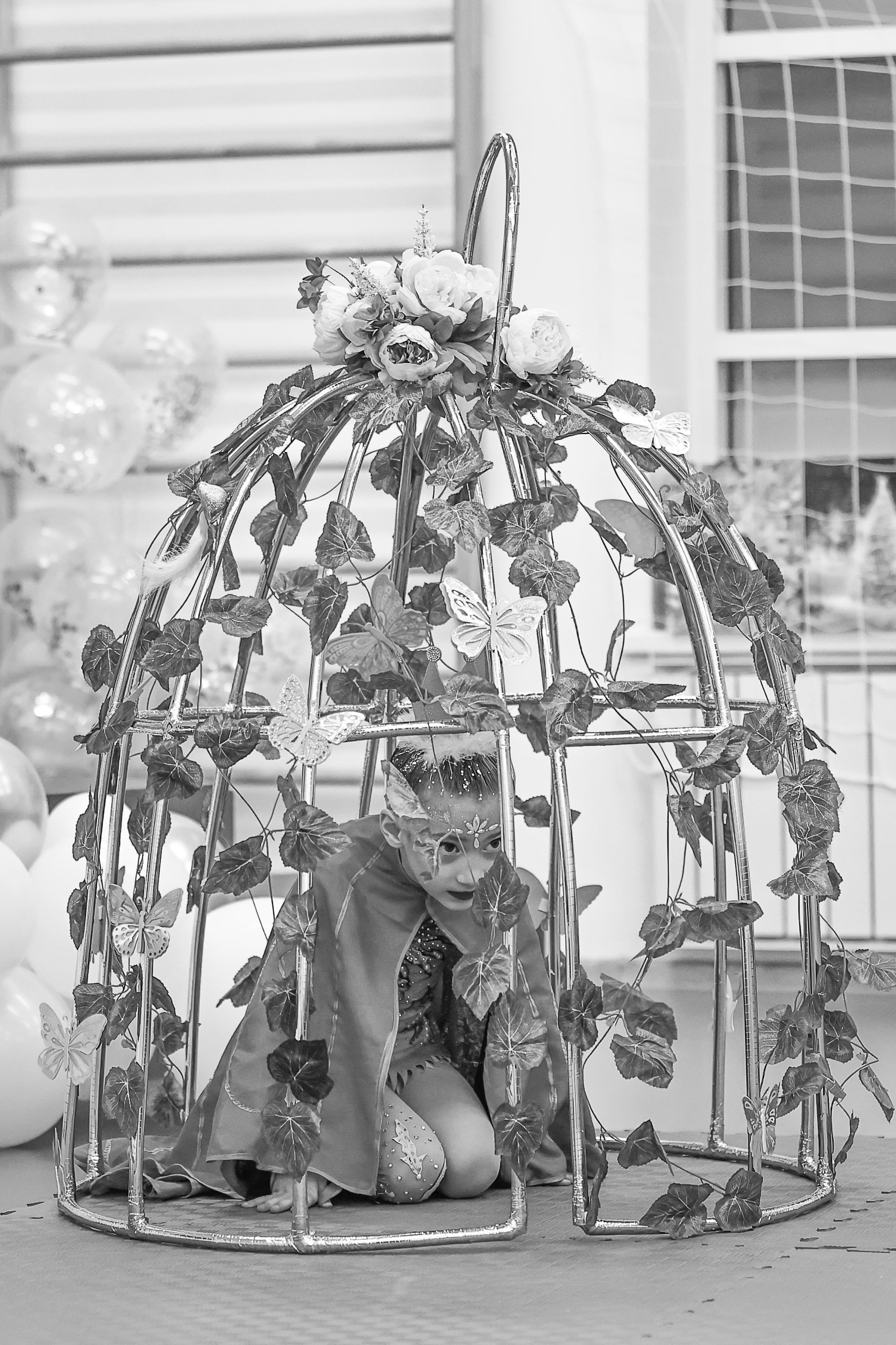 DEJVU 27.12.2022. Фото и видео съемка Ваших мероприятий