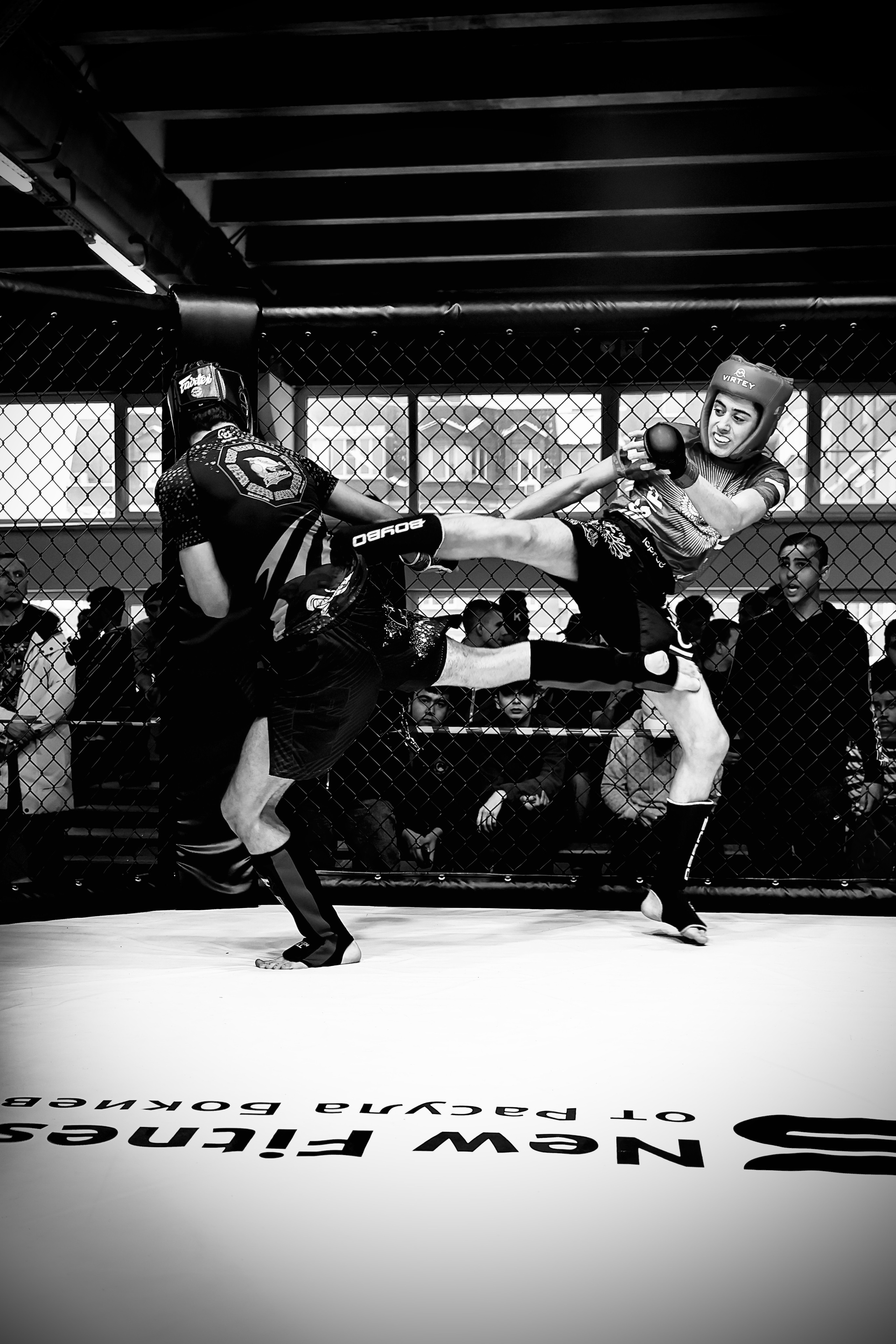 Оpen cage 19.02.2023. Фото и видео съемка Ваших мероприятий