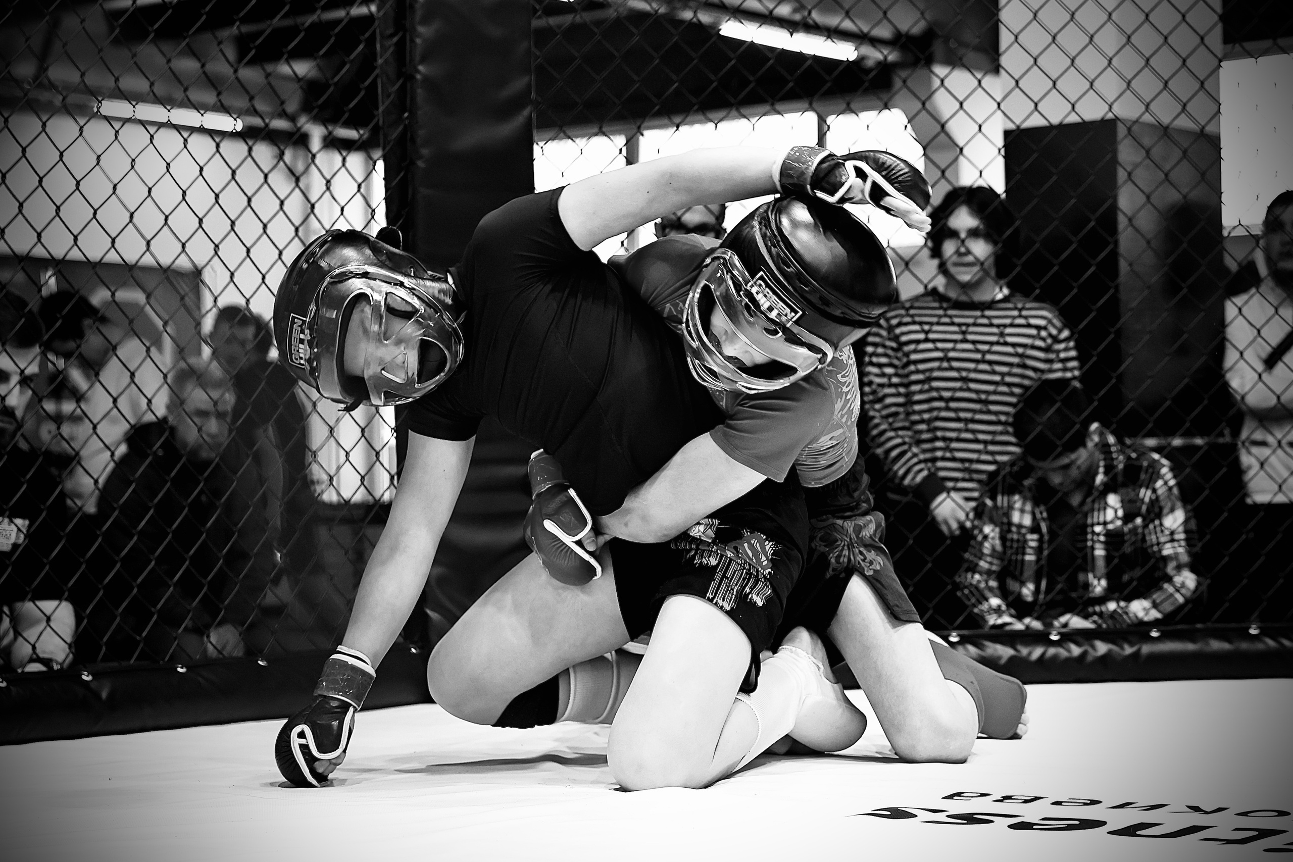 Оpen cage 19.02.2023. Фото и видео съемка Ваших мероприятий