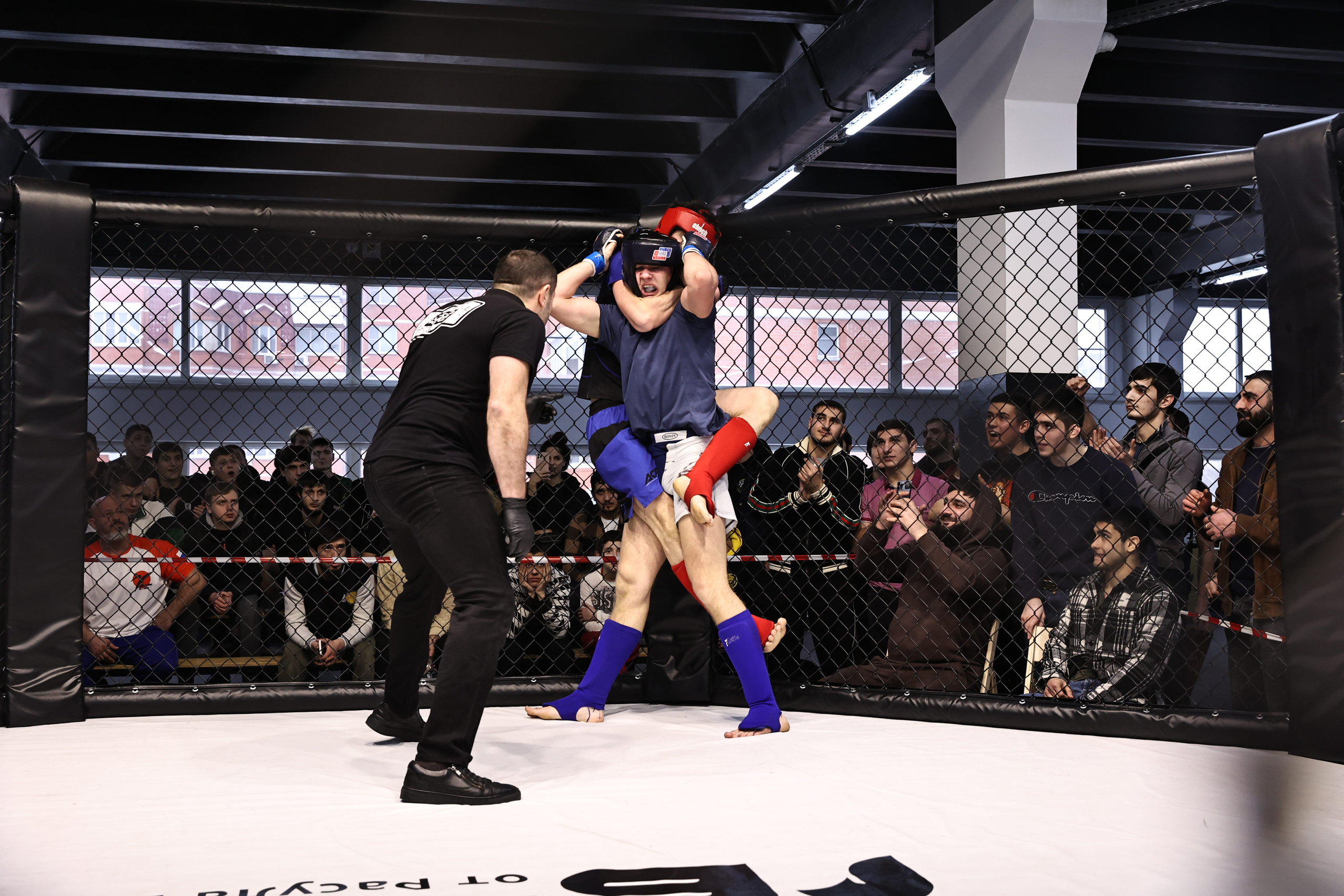 Оpen cage 19.02.2023. Фото и видео съемка Ваших мероприятий