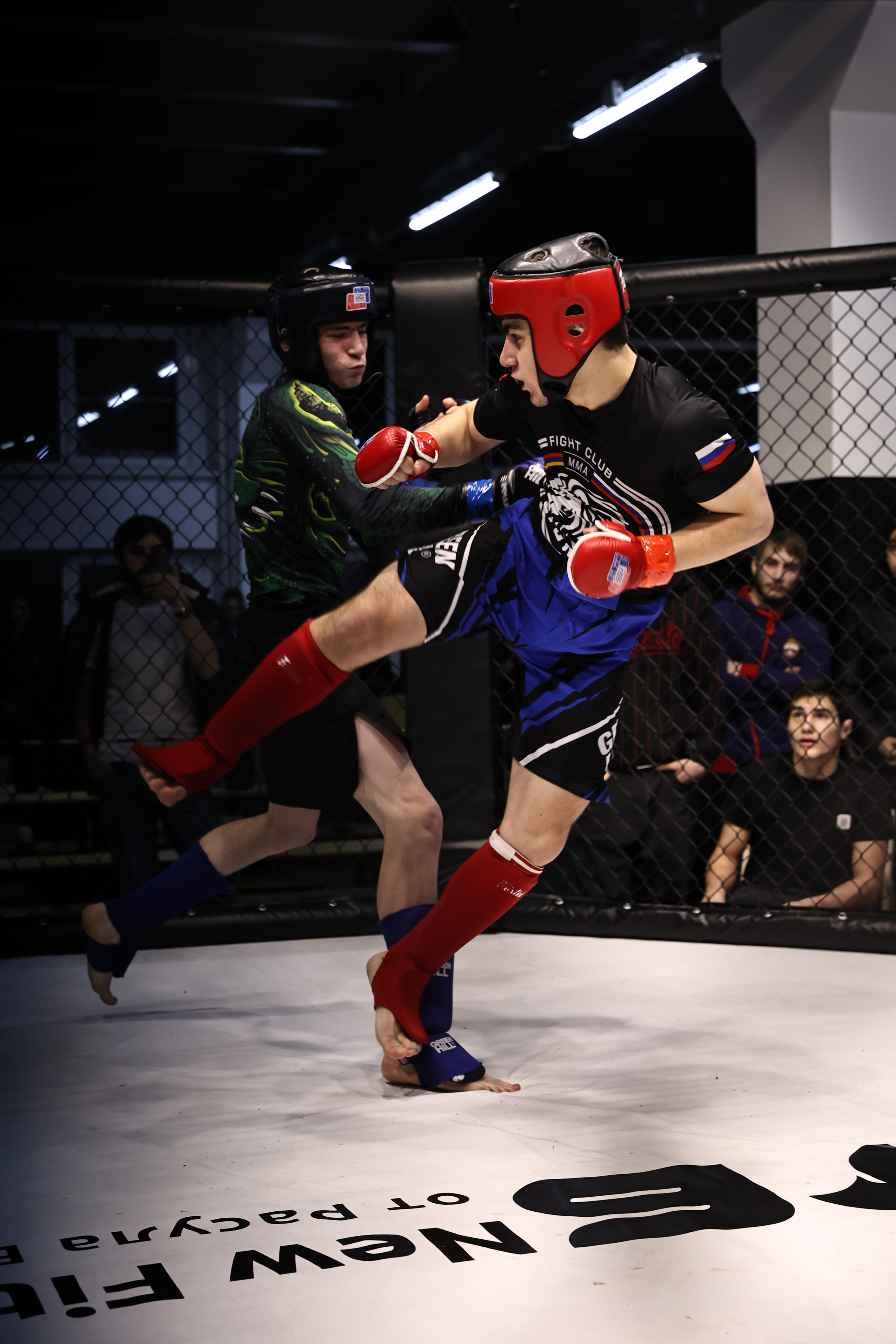 Оpen cage 19.02.2023. Фото и видео съемка Ваших мероприятий