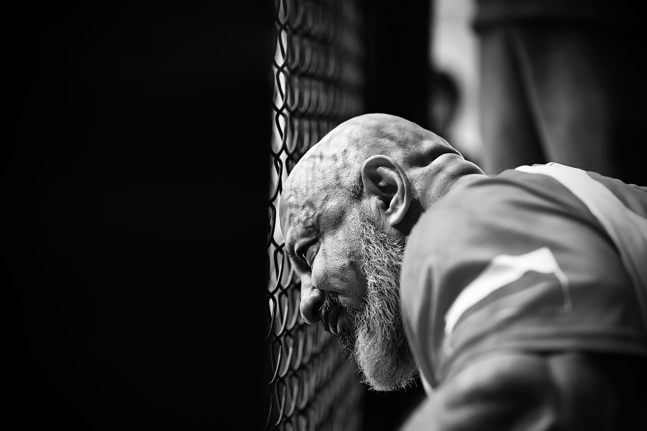 Оpen cage 19.02.2023. Фото и видео съемка Ваших мероприятий