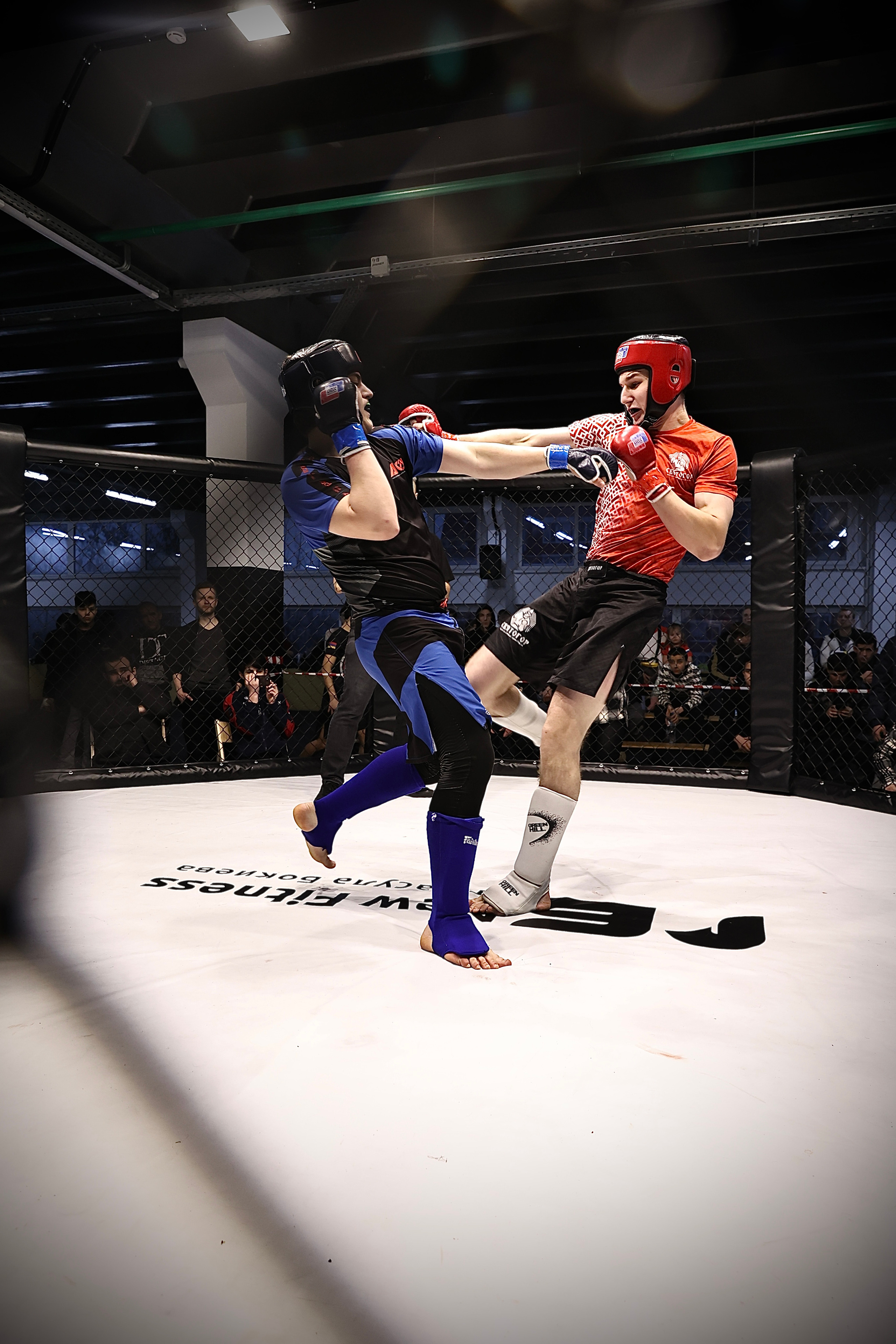 Оpen cage 19.02.2023. Фото и видео съемка Ваших мероприятий