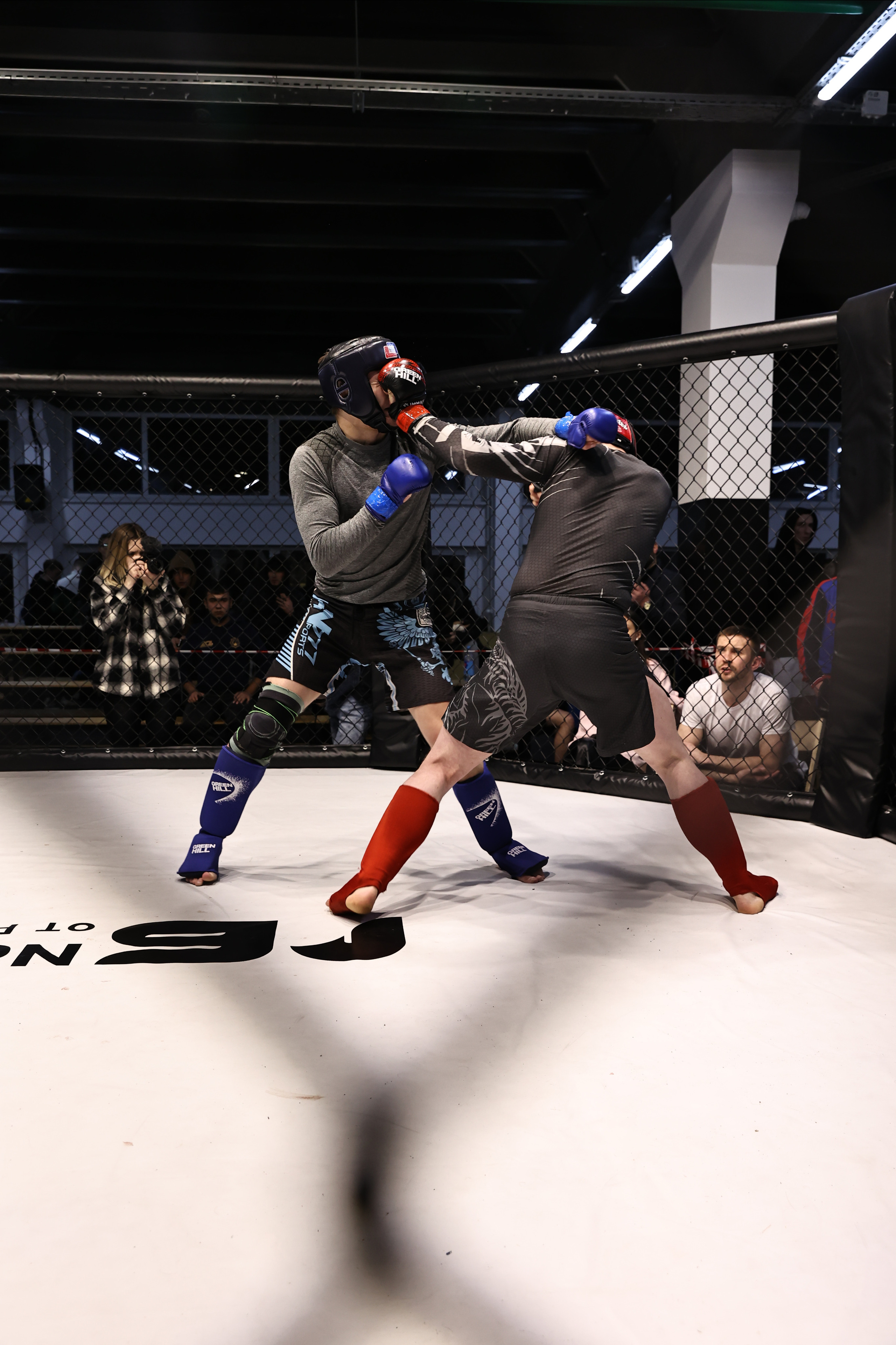 Оpen cage 19.02.2023. Фото и видео съемка Ваших мероприятий