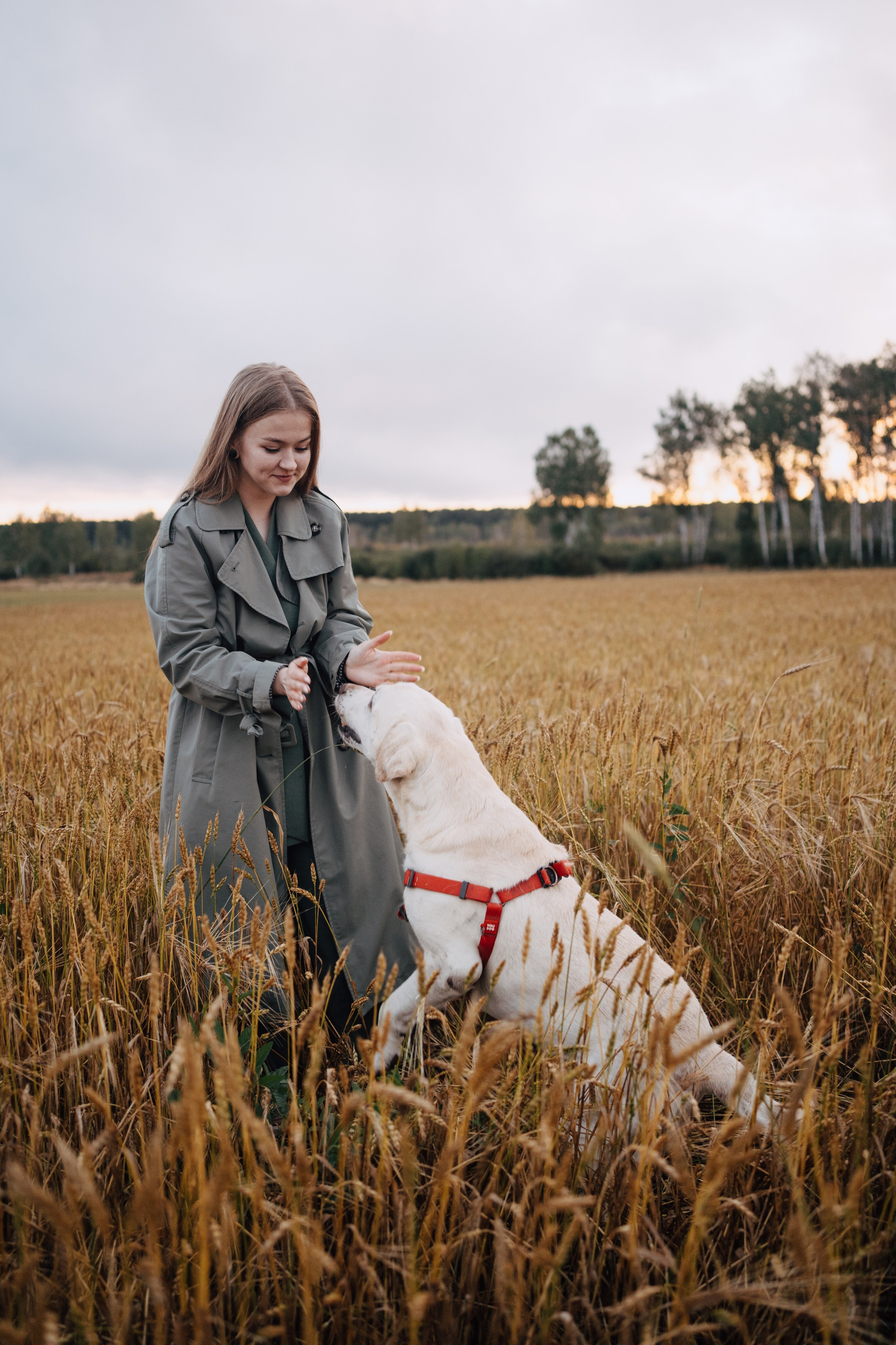 Дана и Арчи. Фотограф-анималист Анастасия Большакова